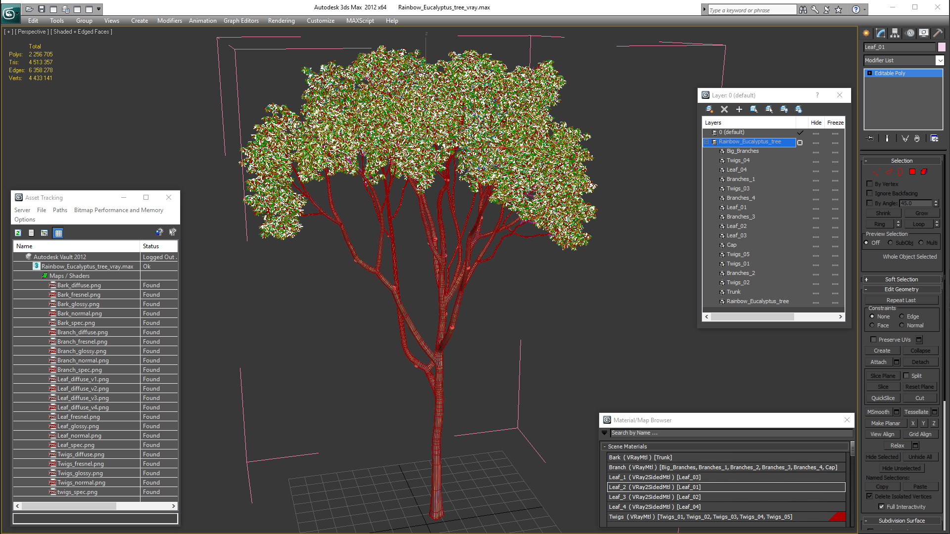 3D Rainbow Eucalyptus Tree model