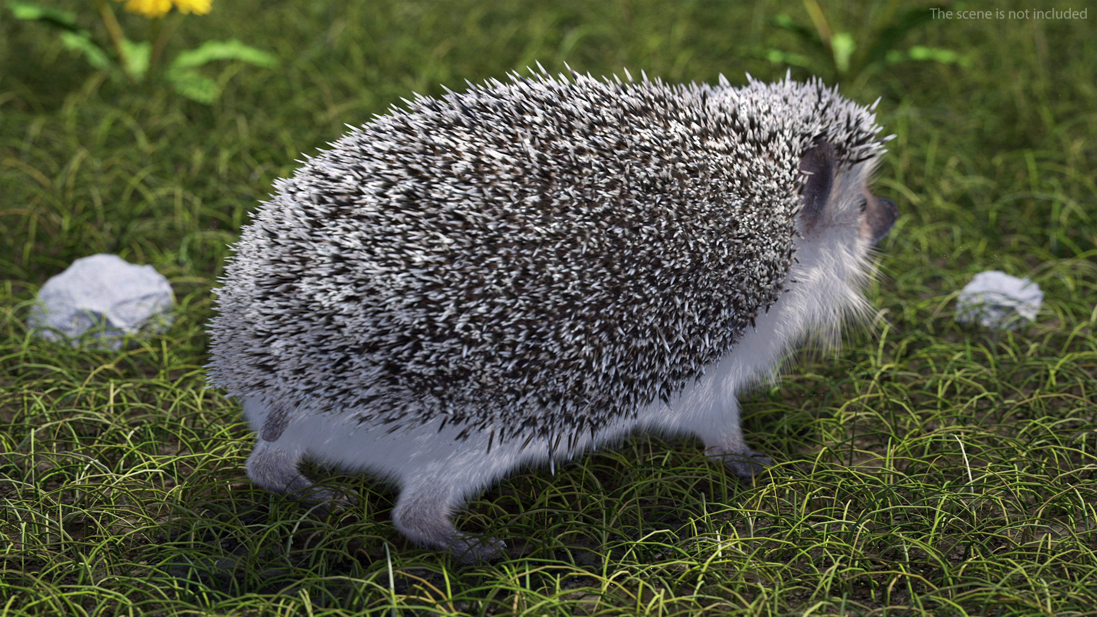 3D model Hedgehog White Fur Rigged