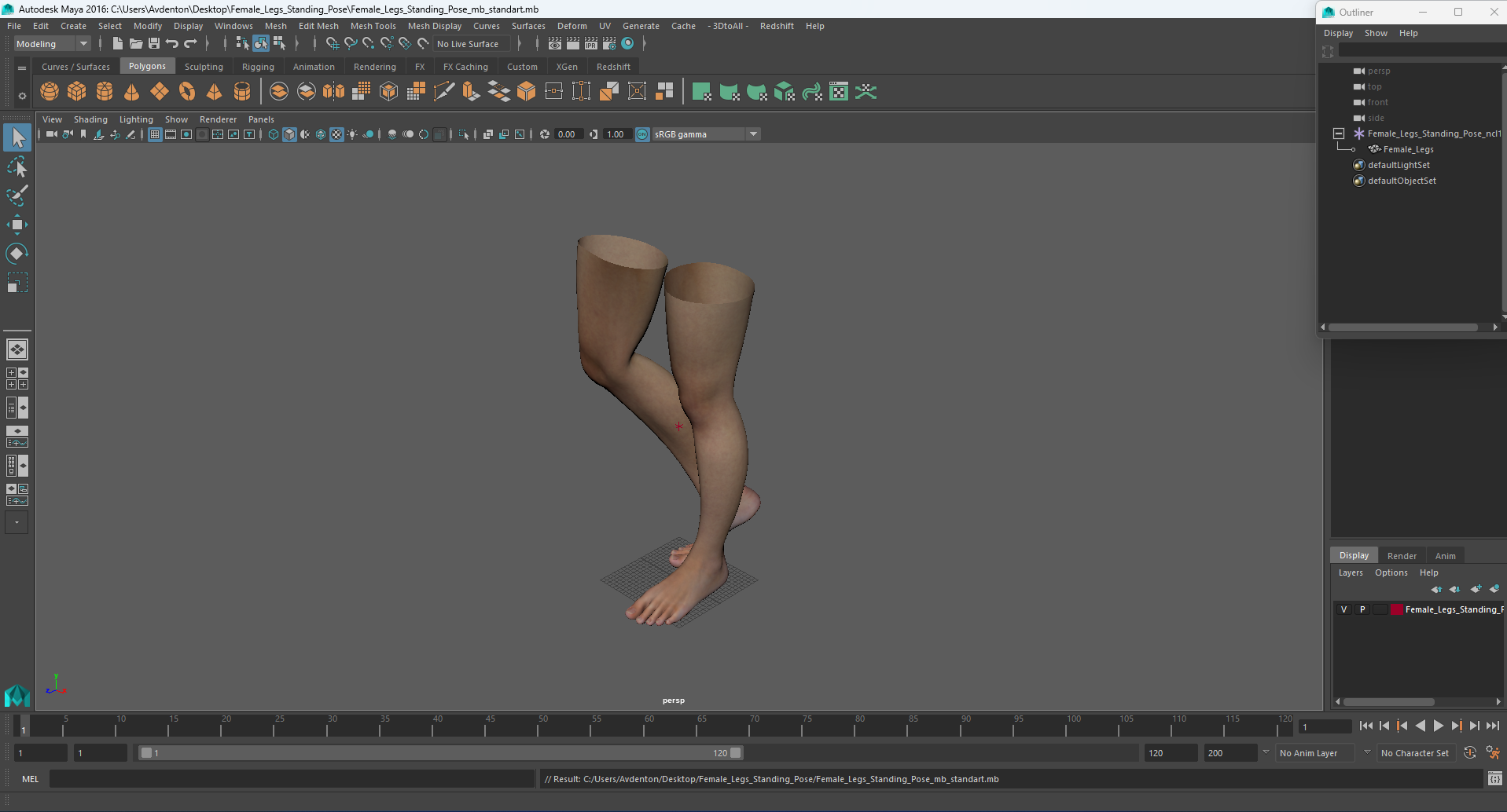 3D model Female Legs Standing Pose