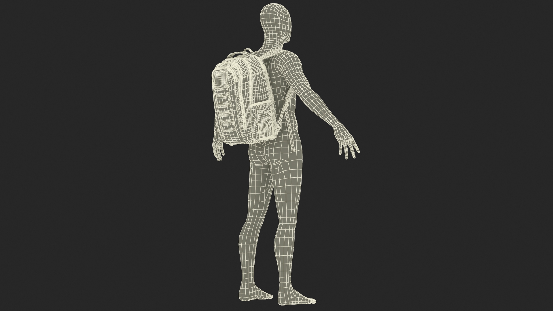 3D Samsonite Carrier GSD Backpack Blue on Mannequin model
