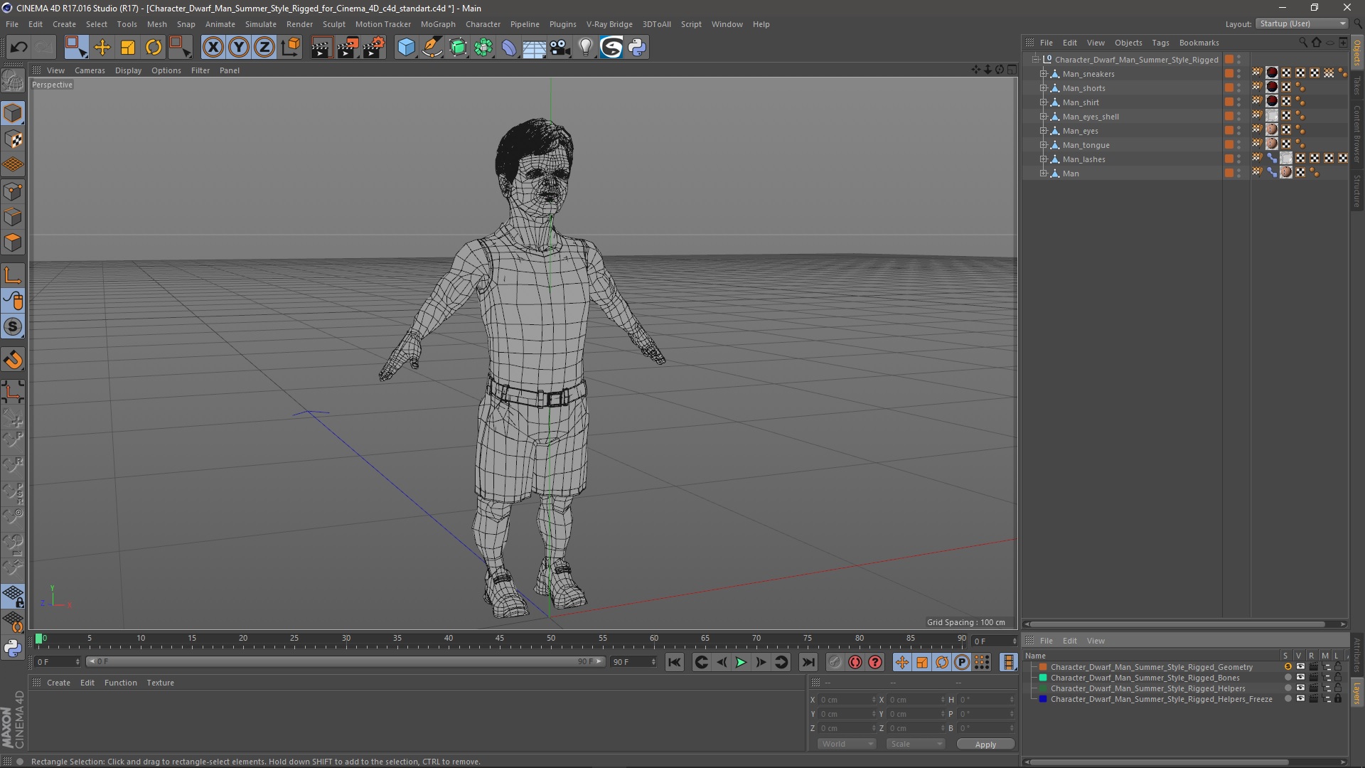 3D Character Dwarf Man Summer Style Rigged for Cinema 4D model