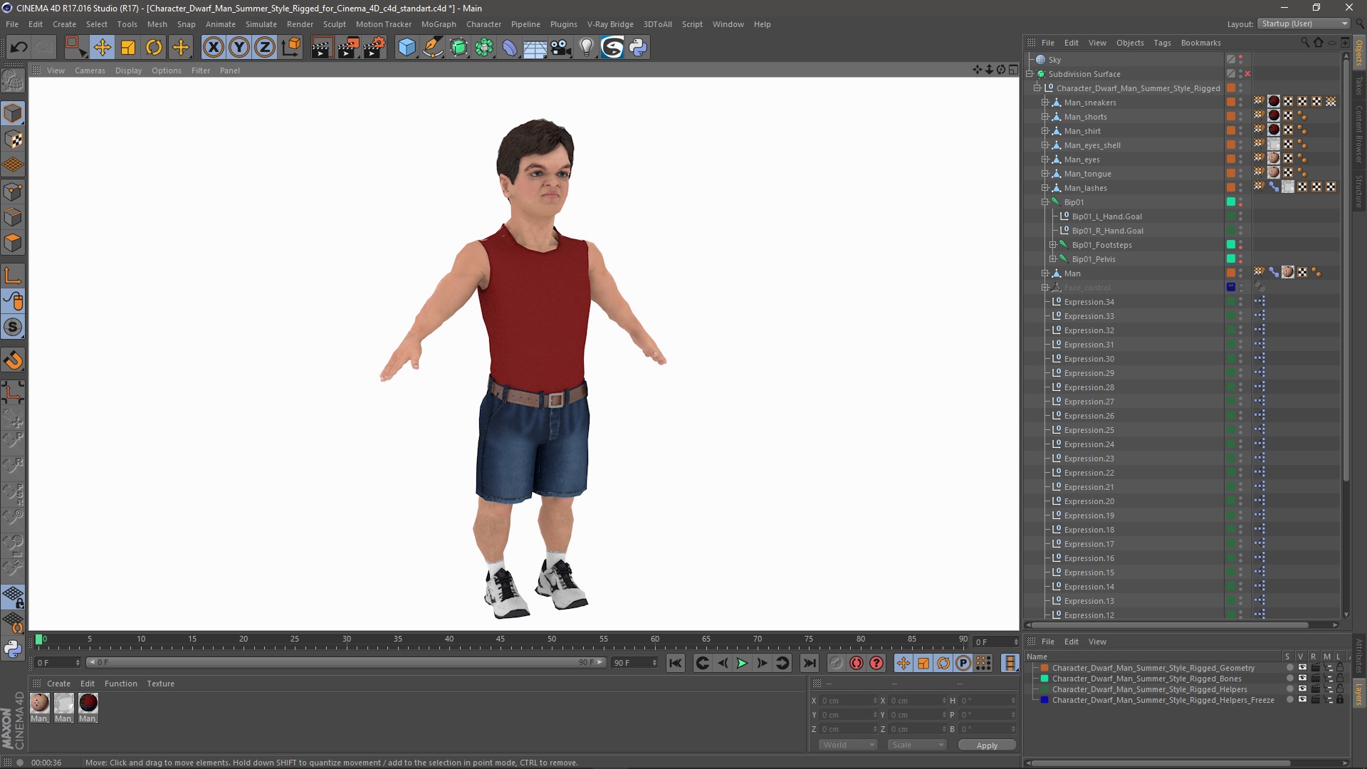 3D Character Dwarf Man Summer Style Rigged for Cinema 4D model