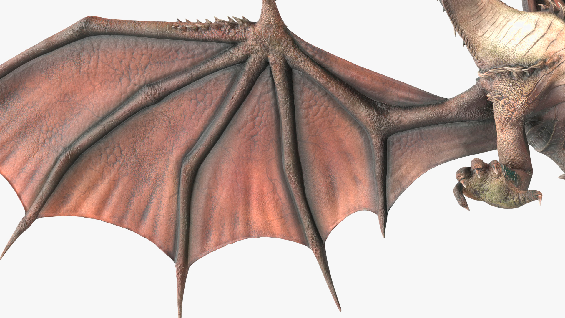 Flying Mythical Dragon 3D