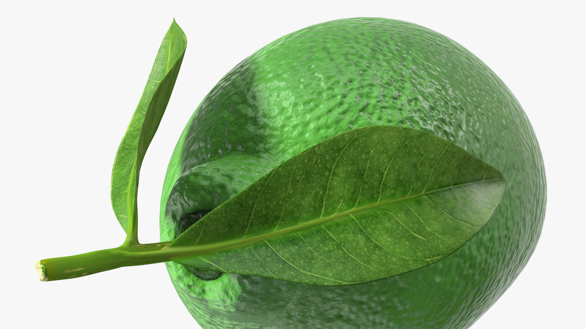 3D Green Lemon