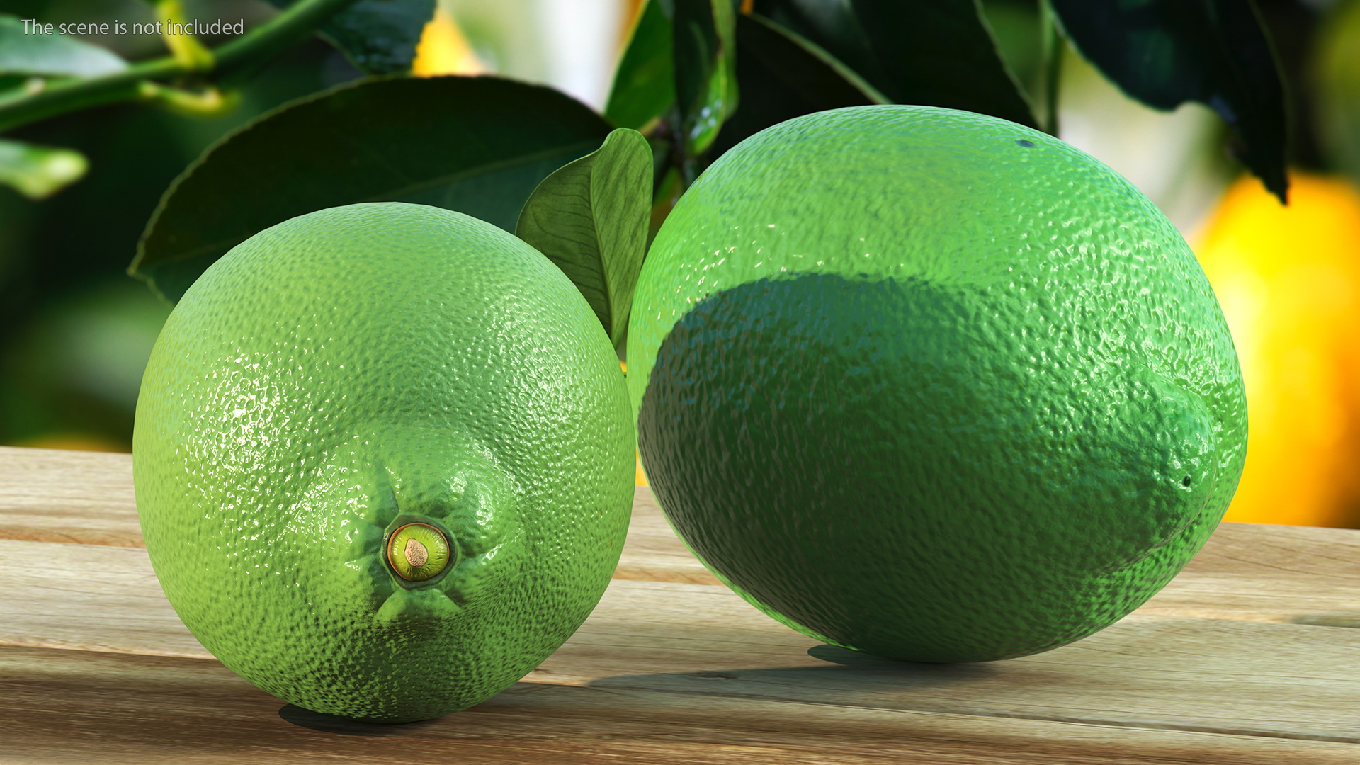 3D Green Lemon