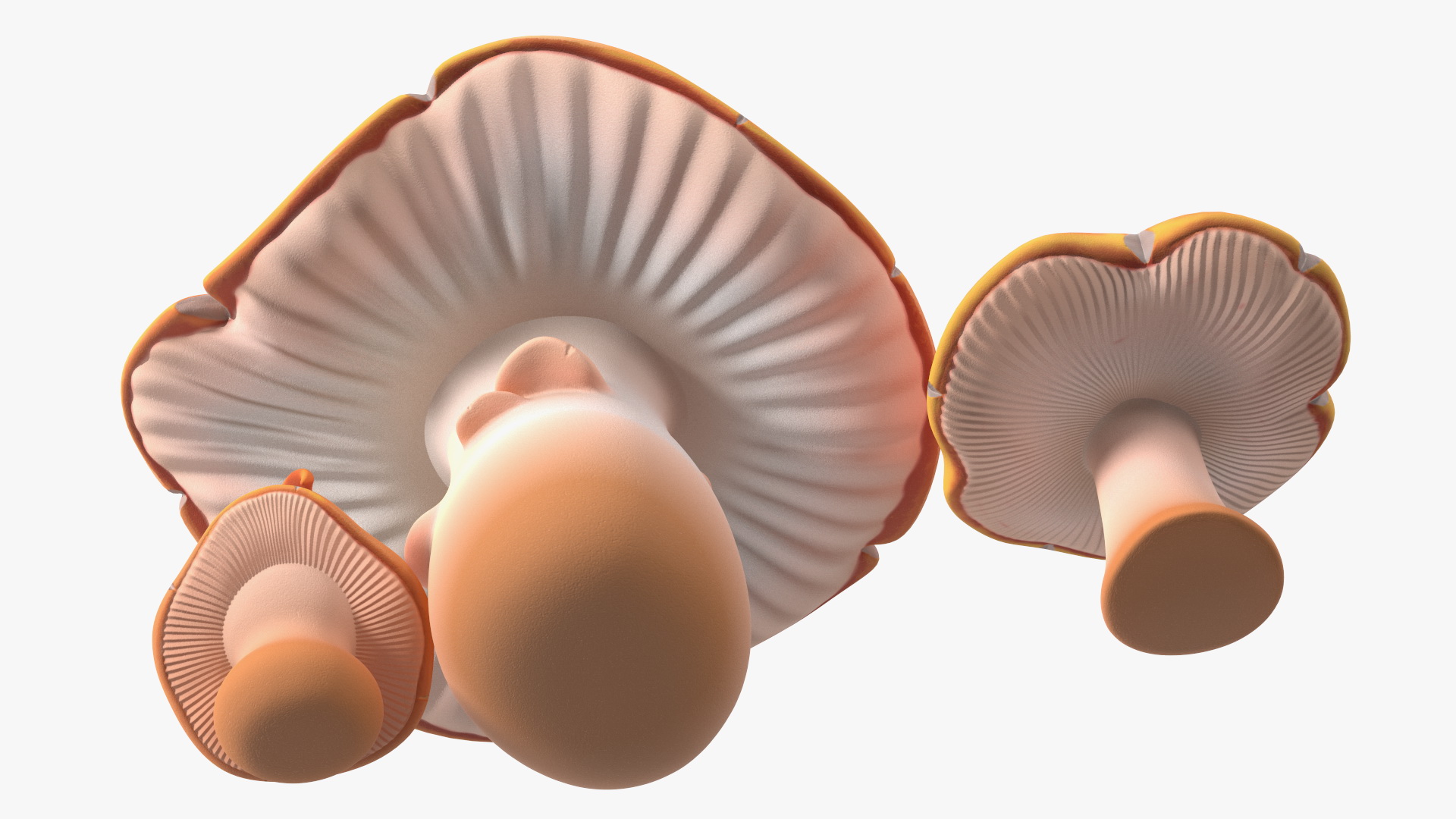 Amanita Cartoon Mushrooms 3 Pieces 3D model