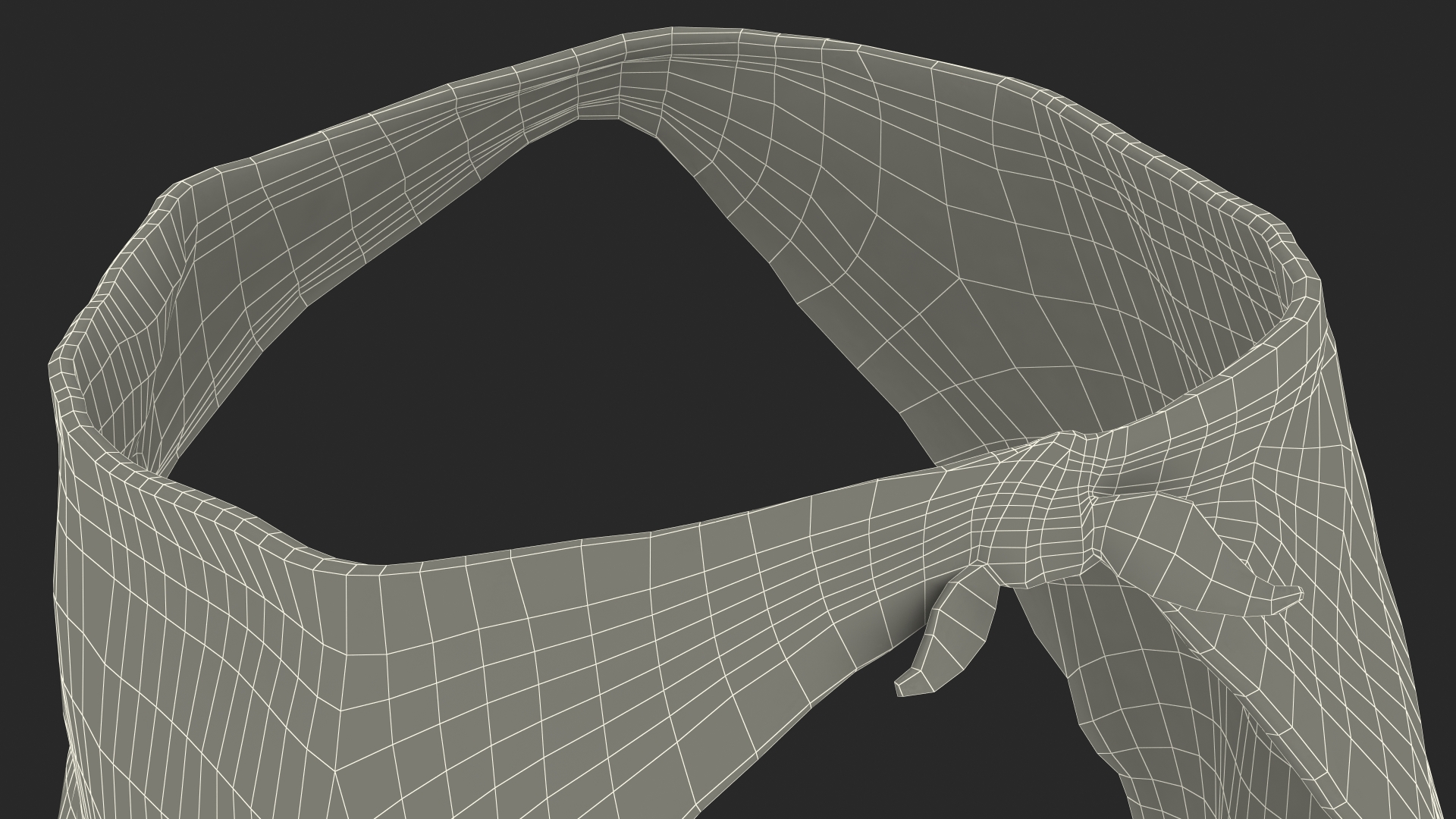 3D Bloody Loincloth