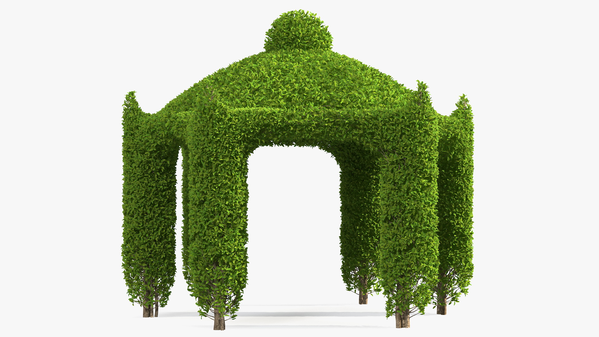 Garden Gazebo with Ivy 3D