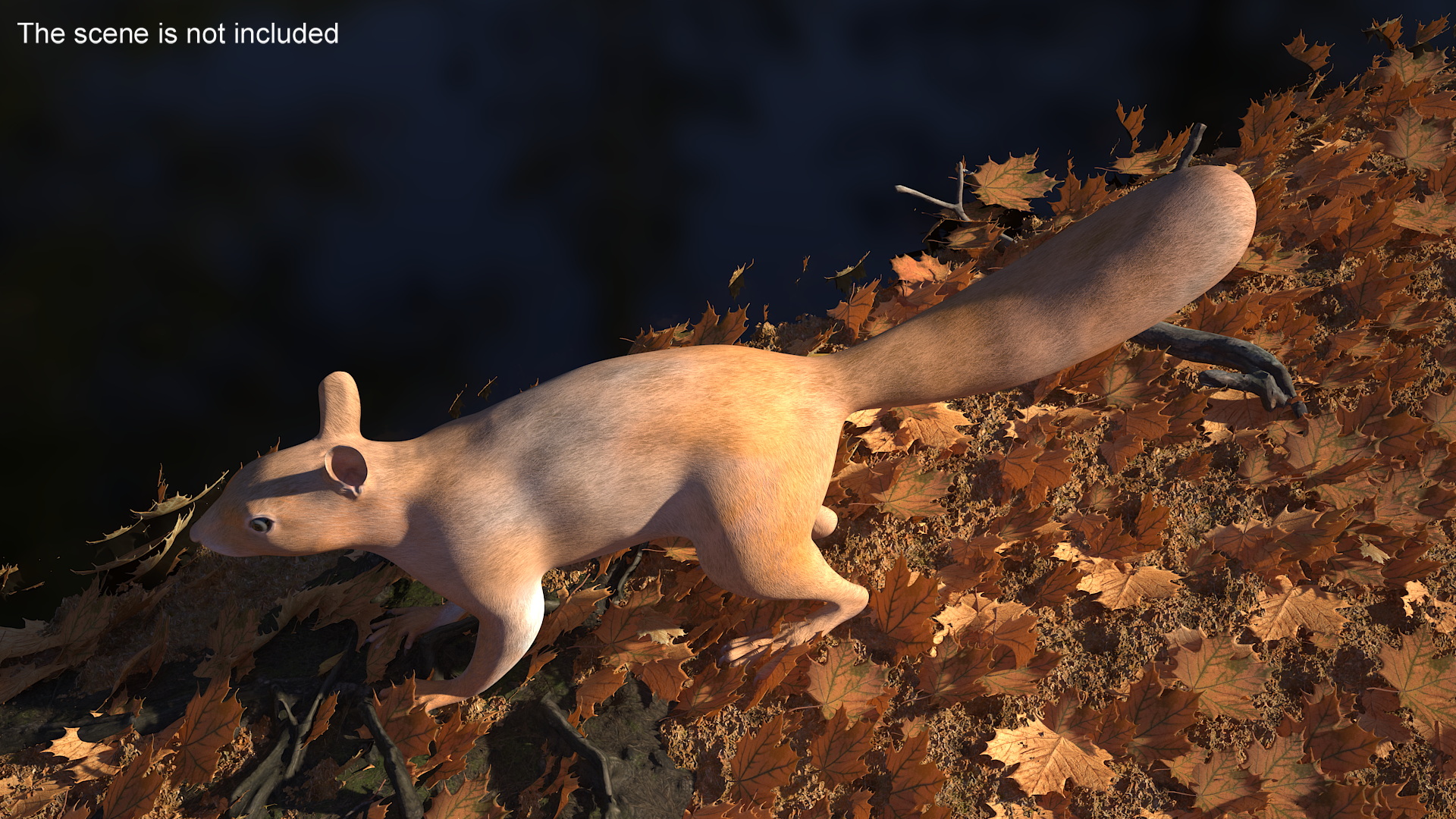 Red Squirrel 3D