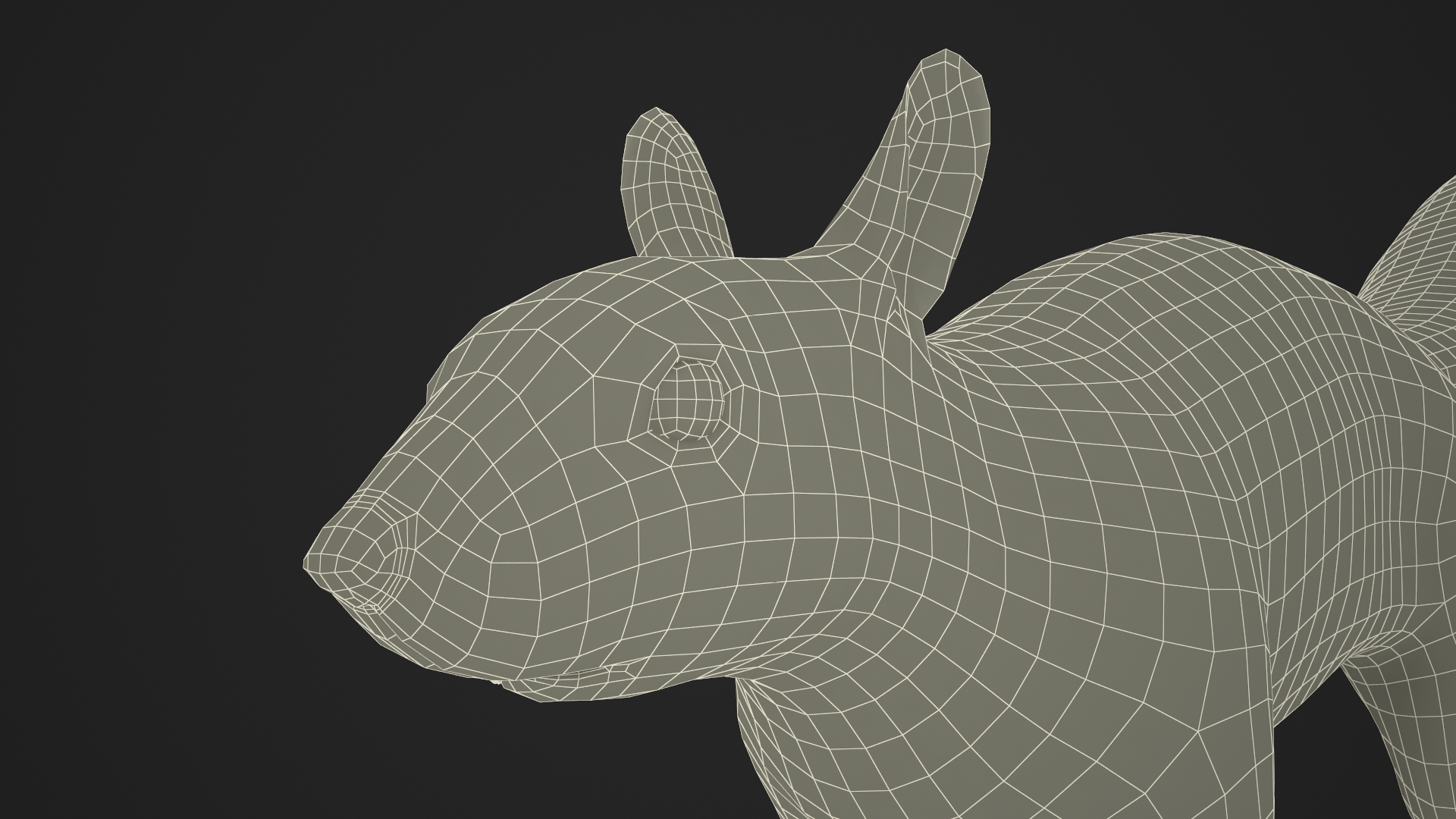 Red Squirrel 3D