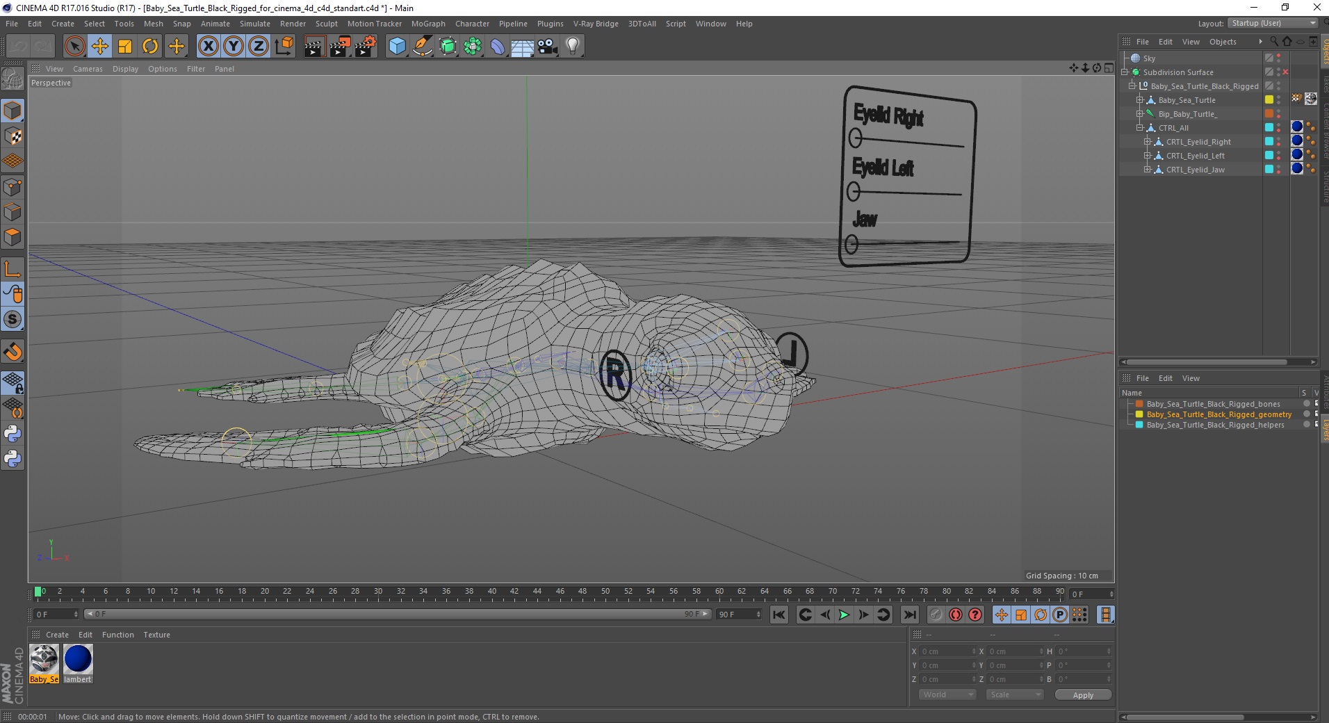 Baby Sea Turtle Black Rigged for Cinema 4D 3D