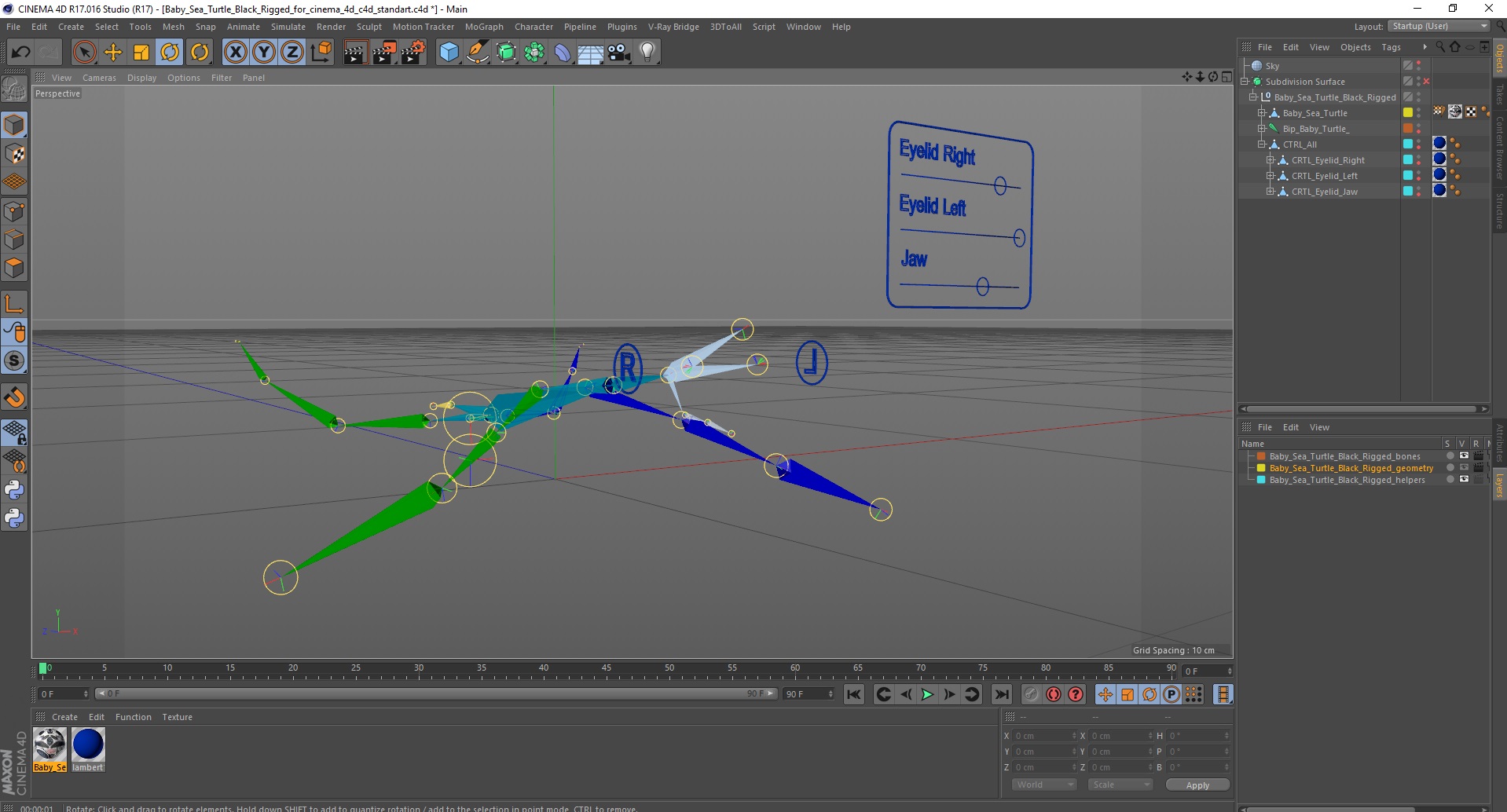 Baby Sea Turtle Black Rigged for Cinema 4D 3D
