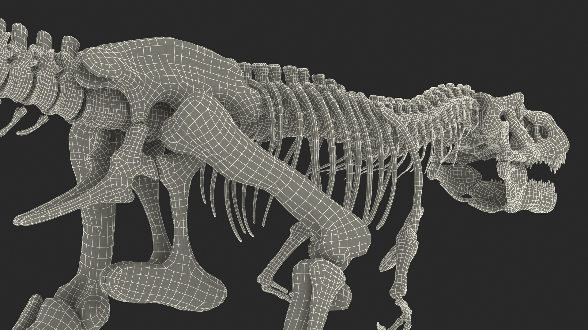Tyrannosaurus Rex Skeleton Walking Pose 3D model