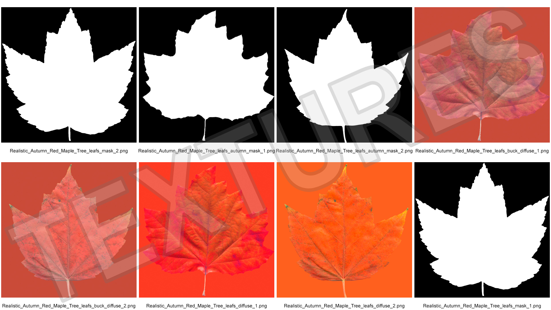 3D Realistic Autumn Red Maple Tree