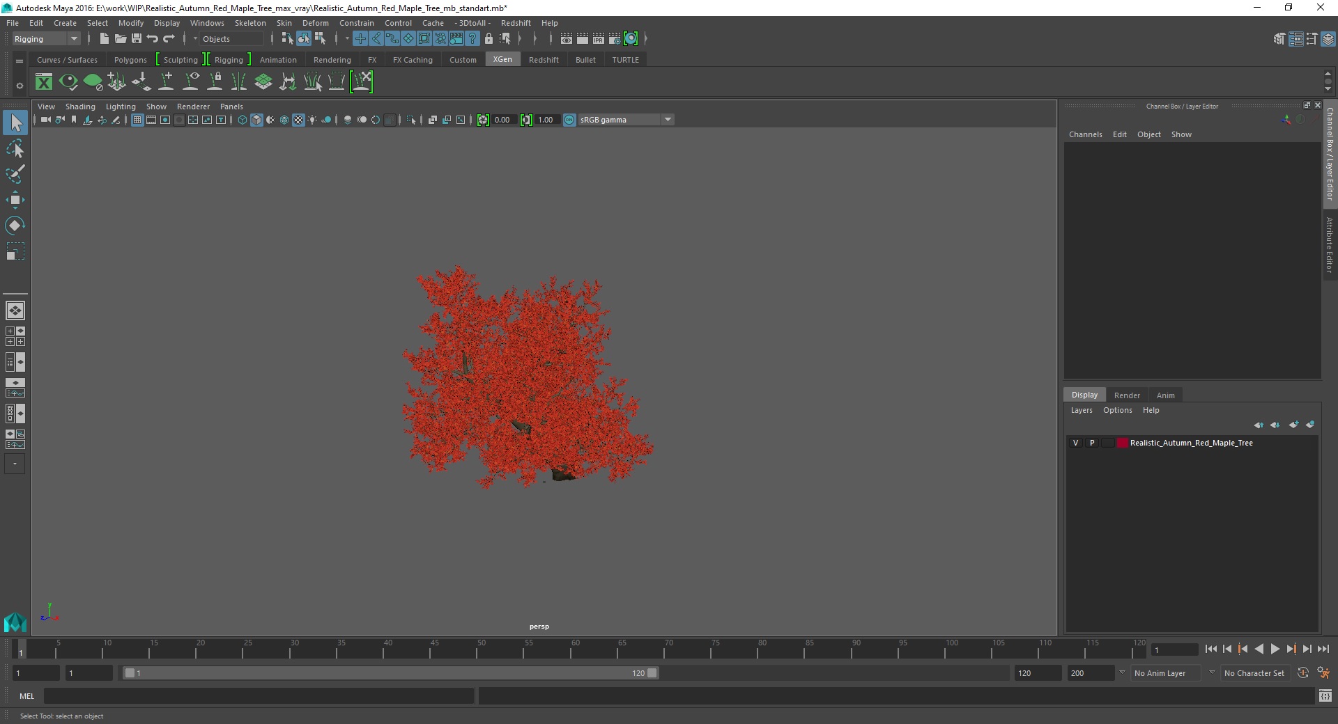 3D Realistic Autumn Red Maple Tree