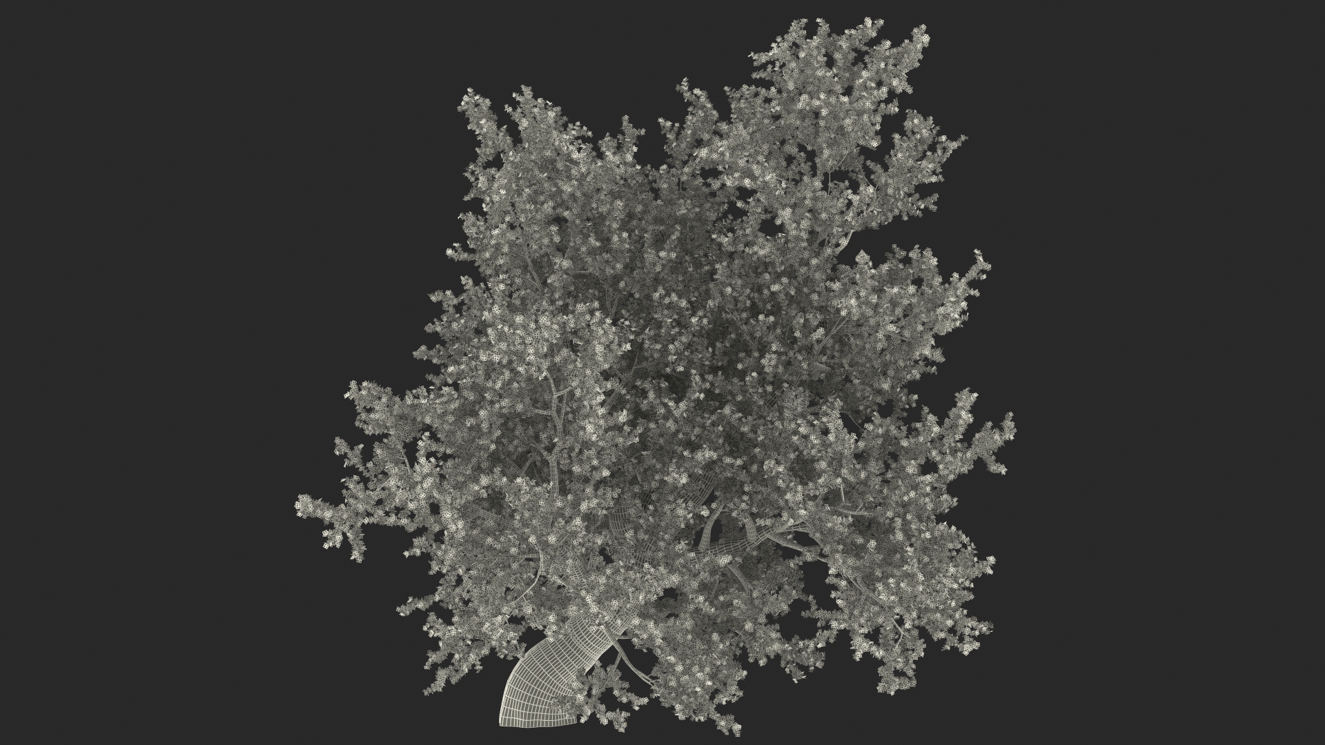 3D Realistic Autumn Red Maple Tree