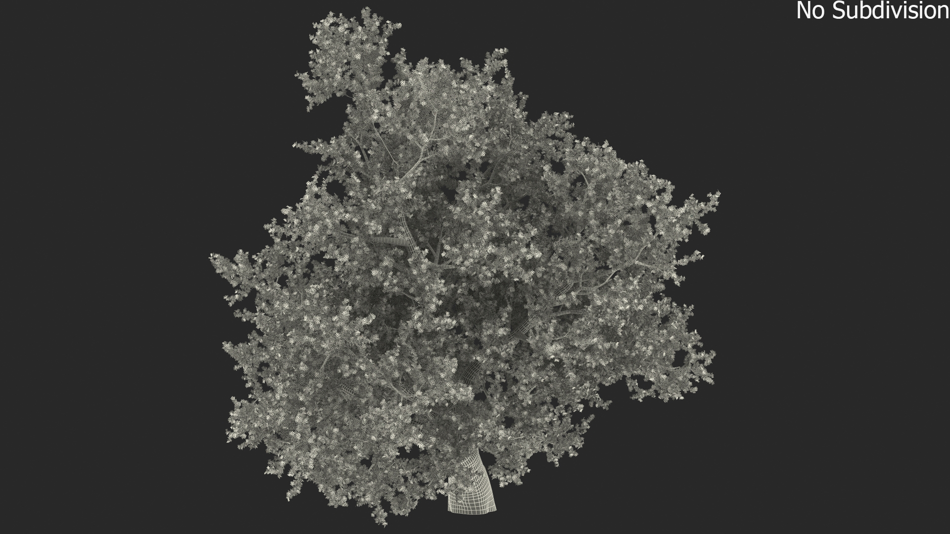3D Realistic Autumn Red Maple Tree
