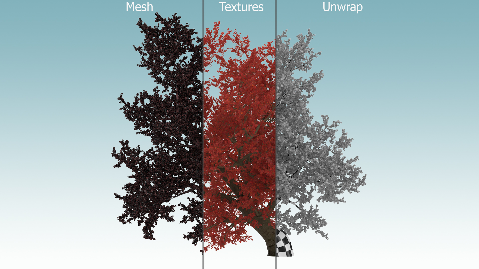 3D Realistic Autumn Red Maple Tree