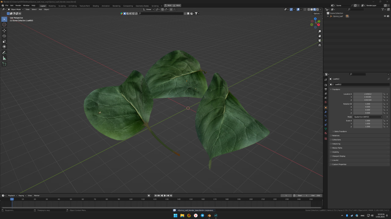 3D Quince Leaf