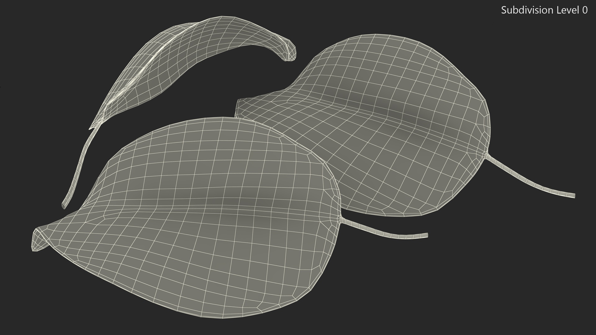 3D Quince Leaf