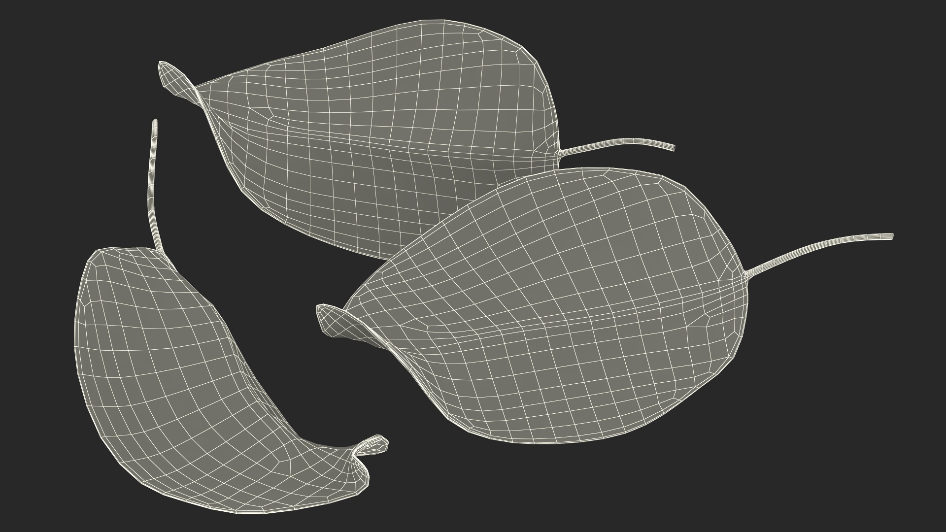 3D Quince Leaf