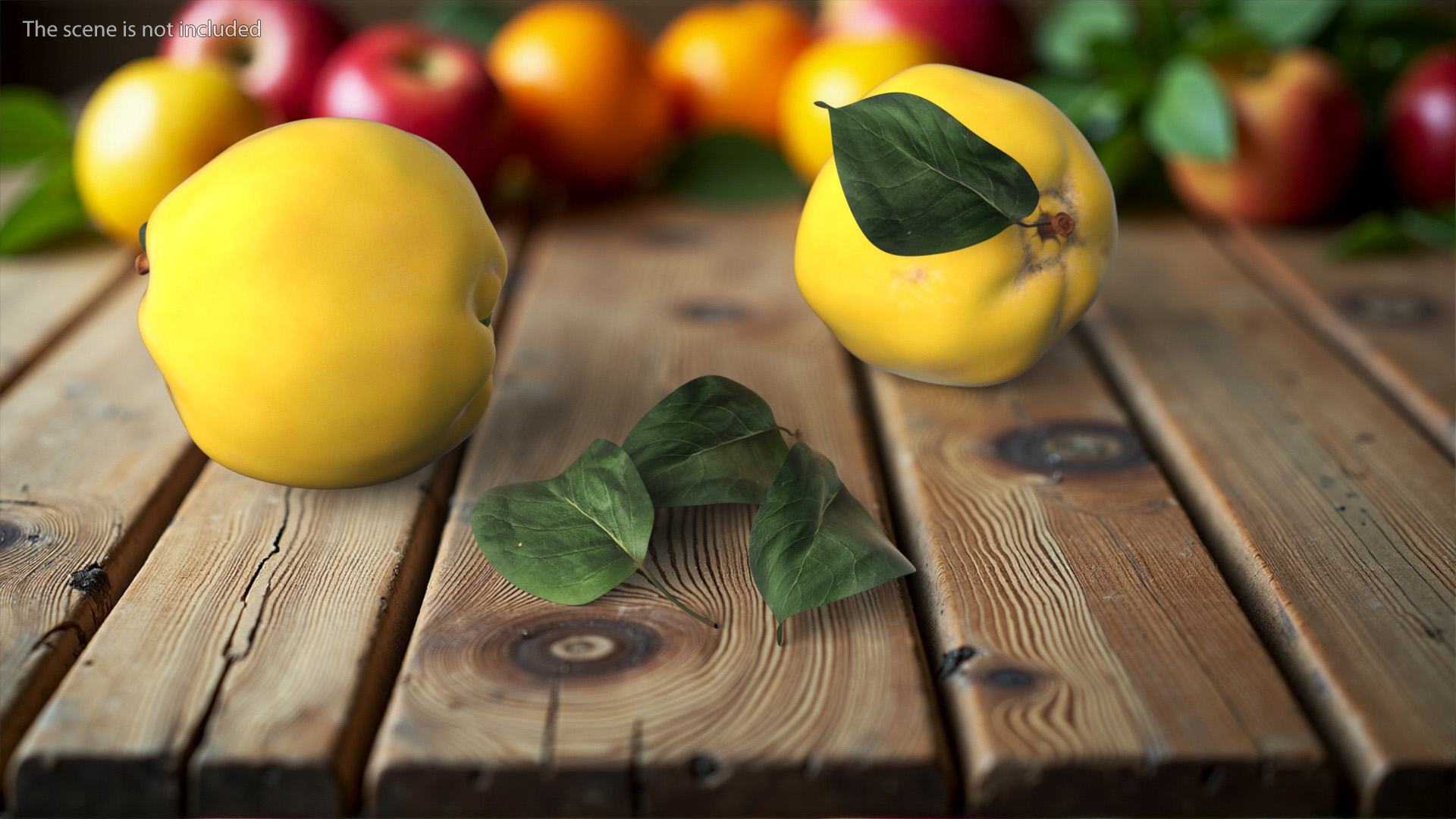 3D Quince Leaf