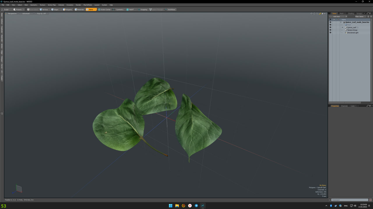3D Quince Leaf