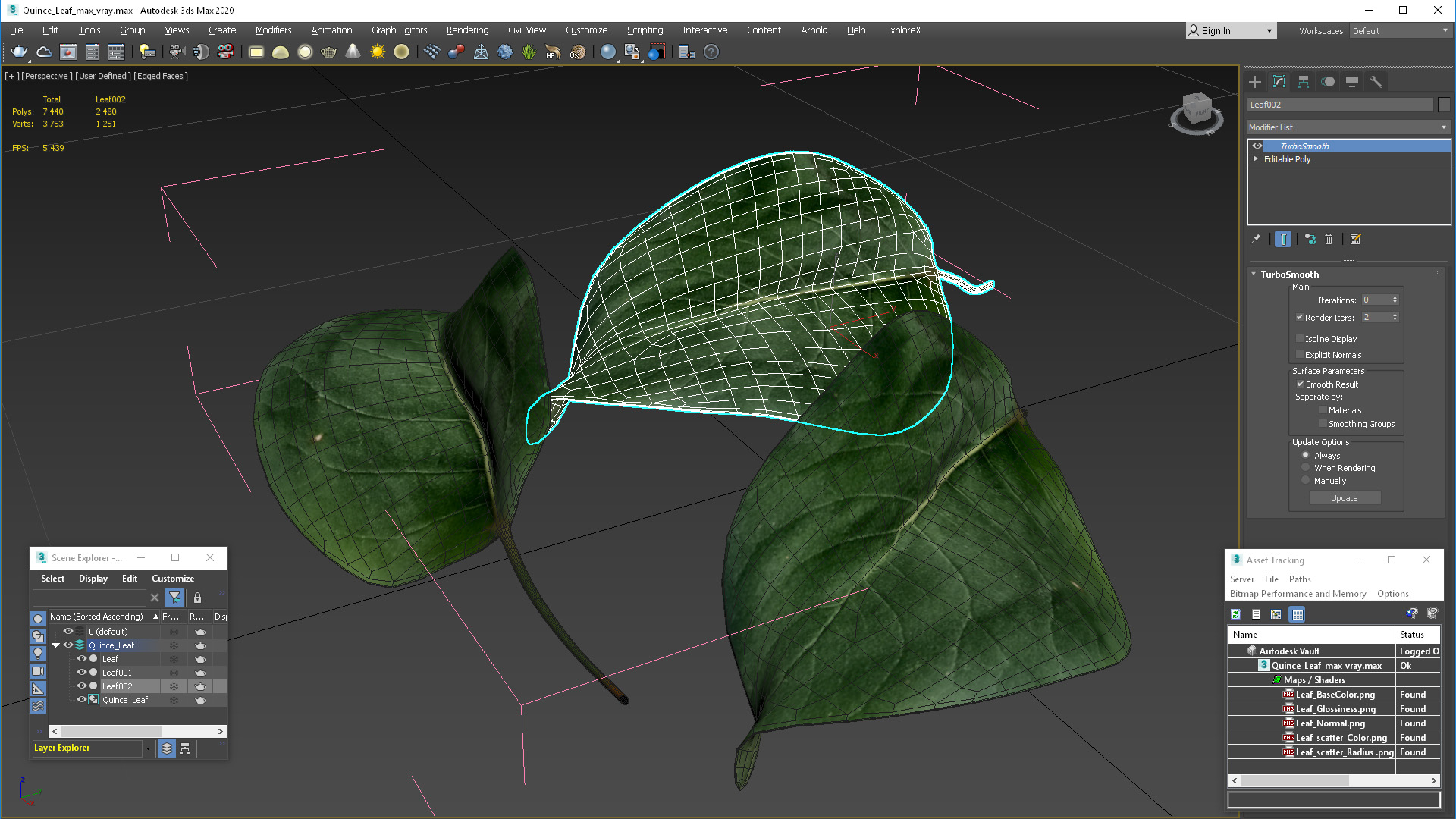 3D Quince Leaf