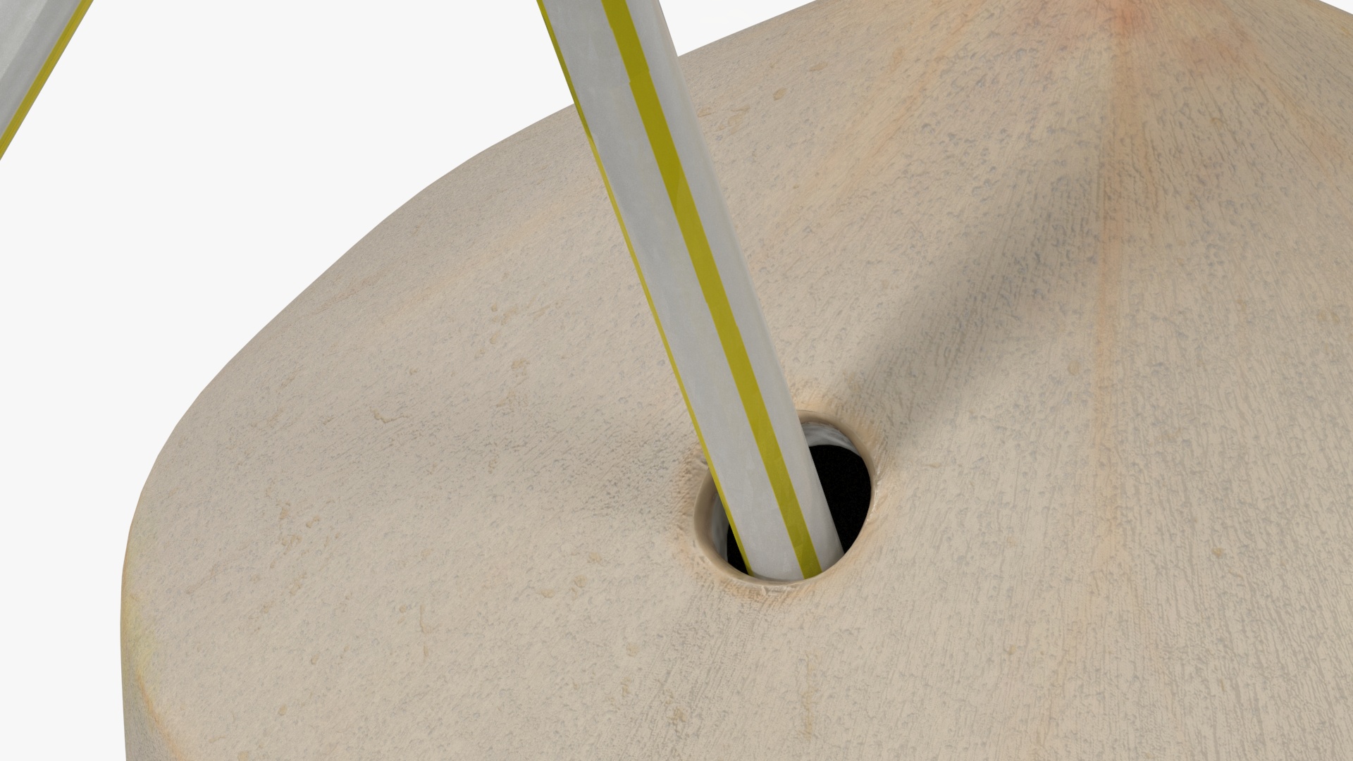 3D Shelled Coconut with Drink Pipe