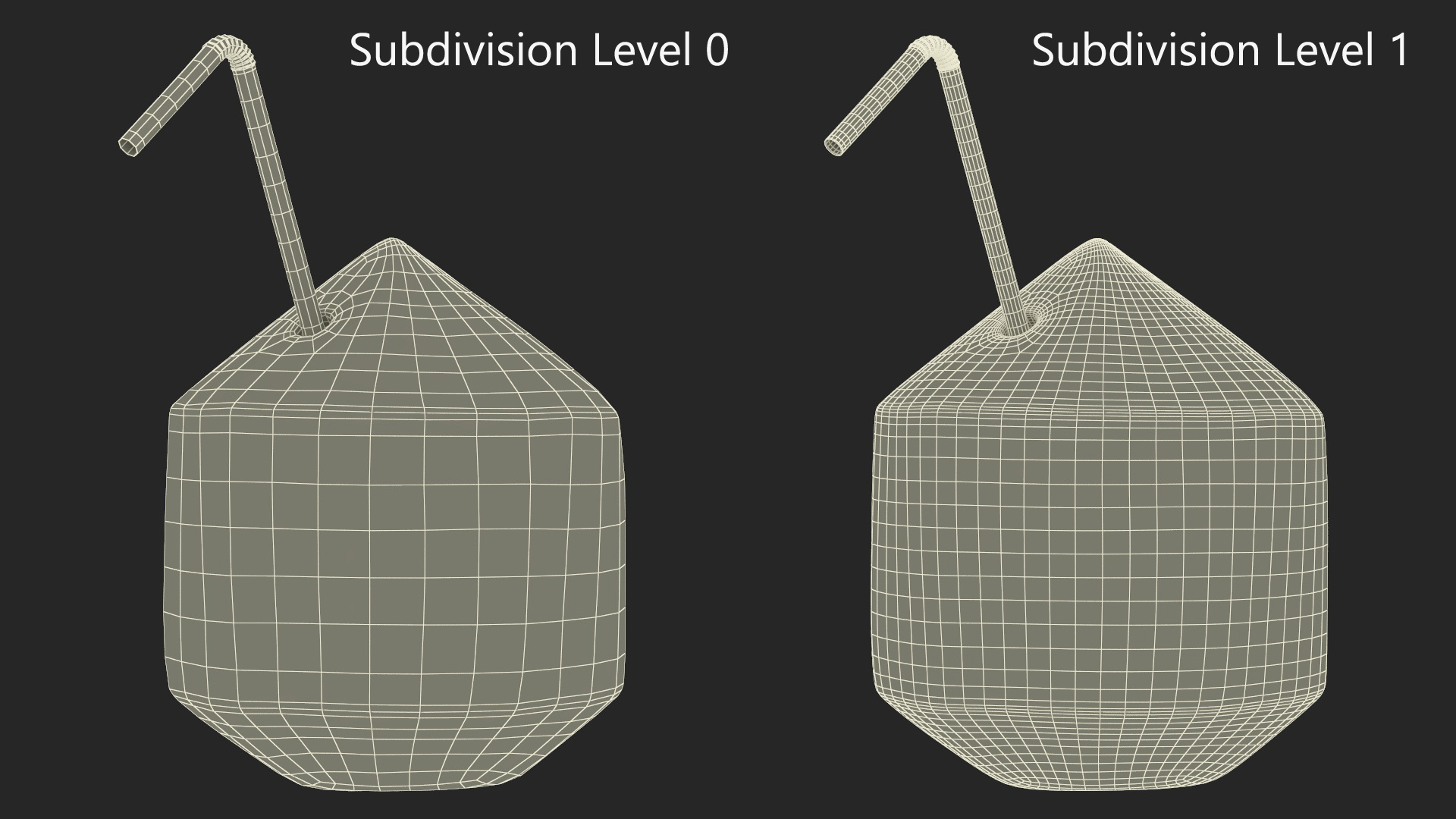 3D Shelled Coconut with Drink Pipe