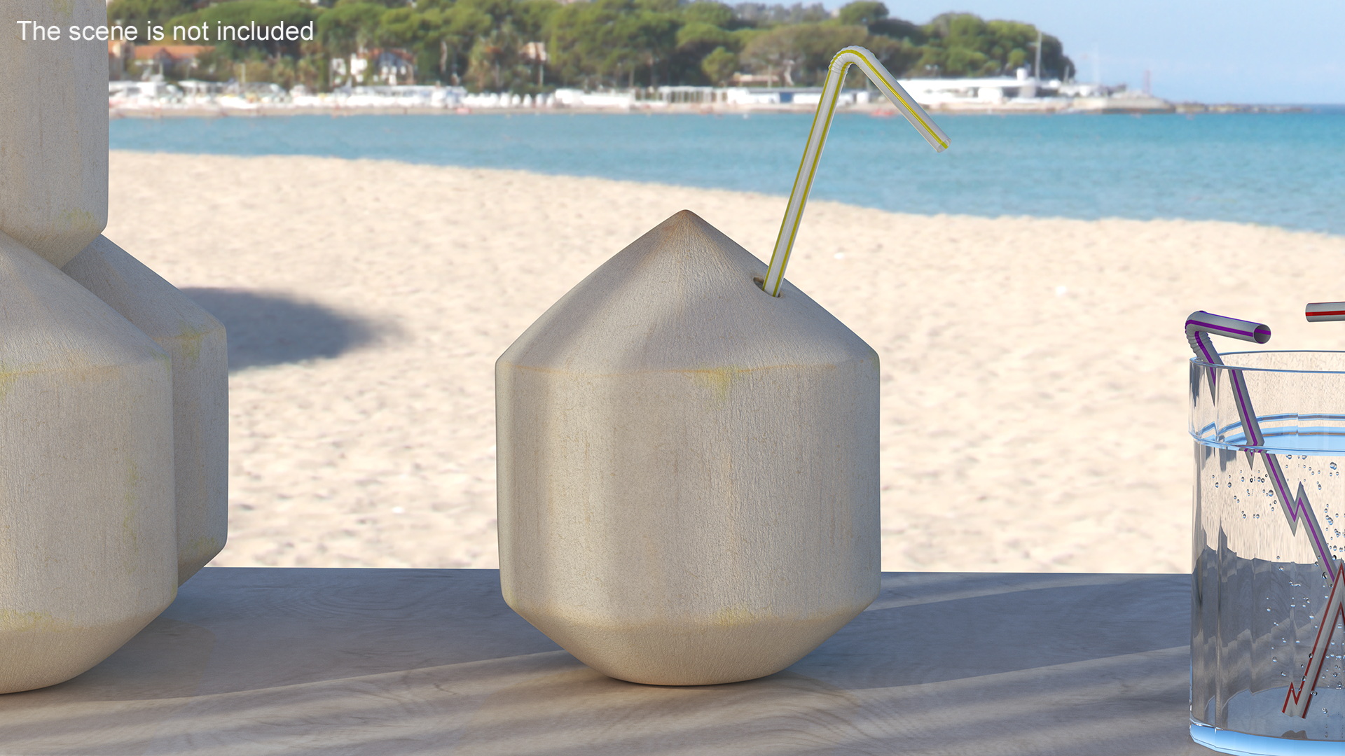 3D Shelled Coconut with Drink Pipe