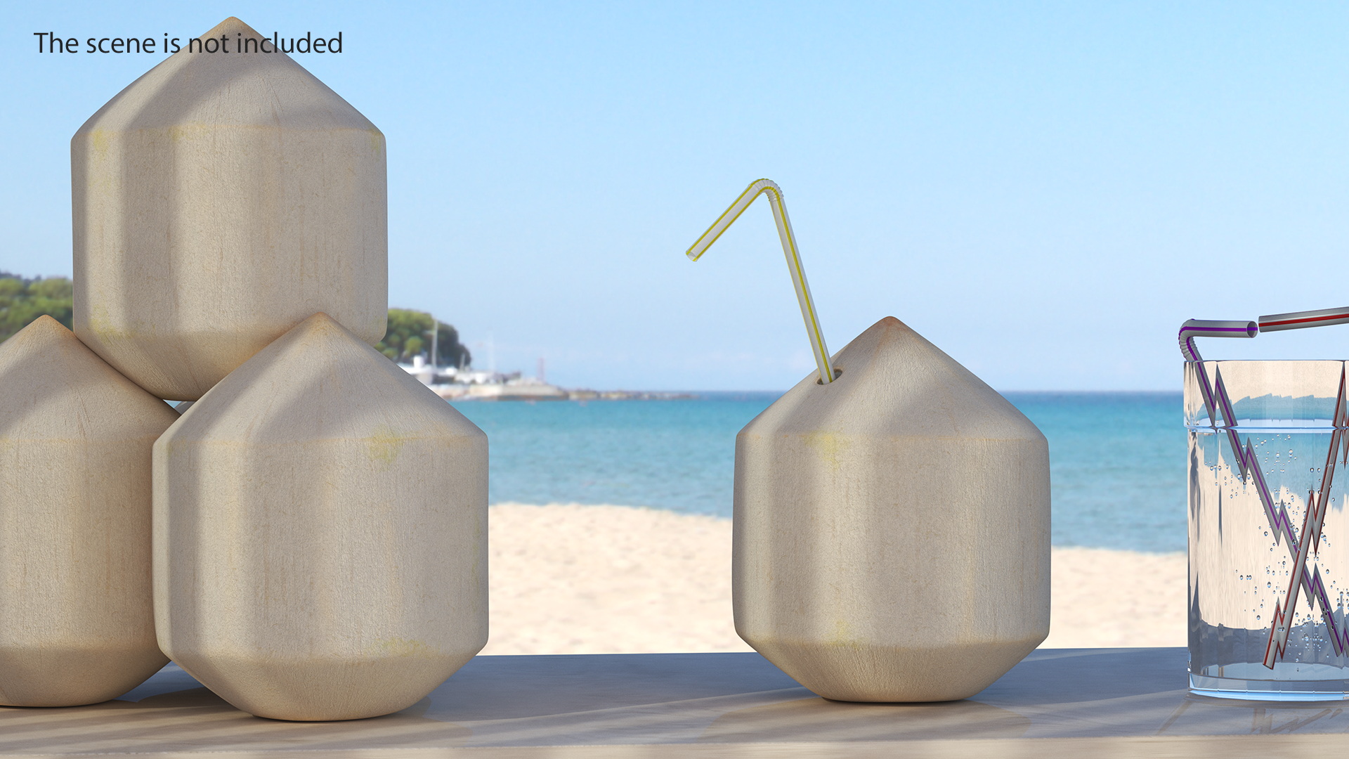 3D Shelled Coconut with Drink Pipe