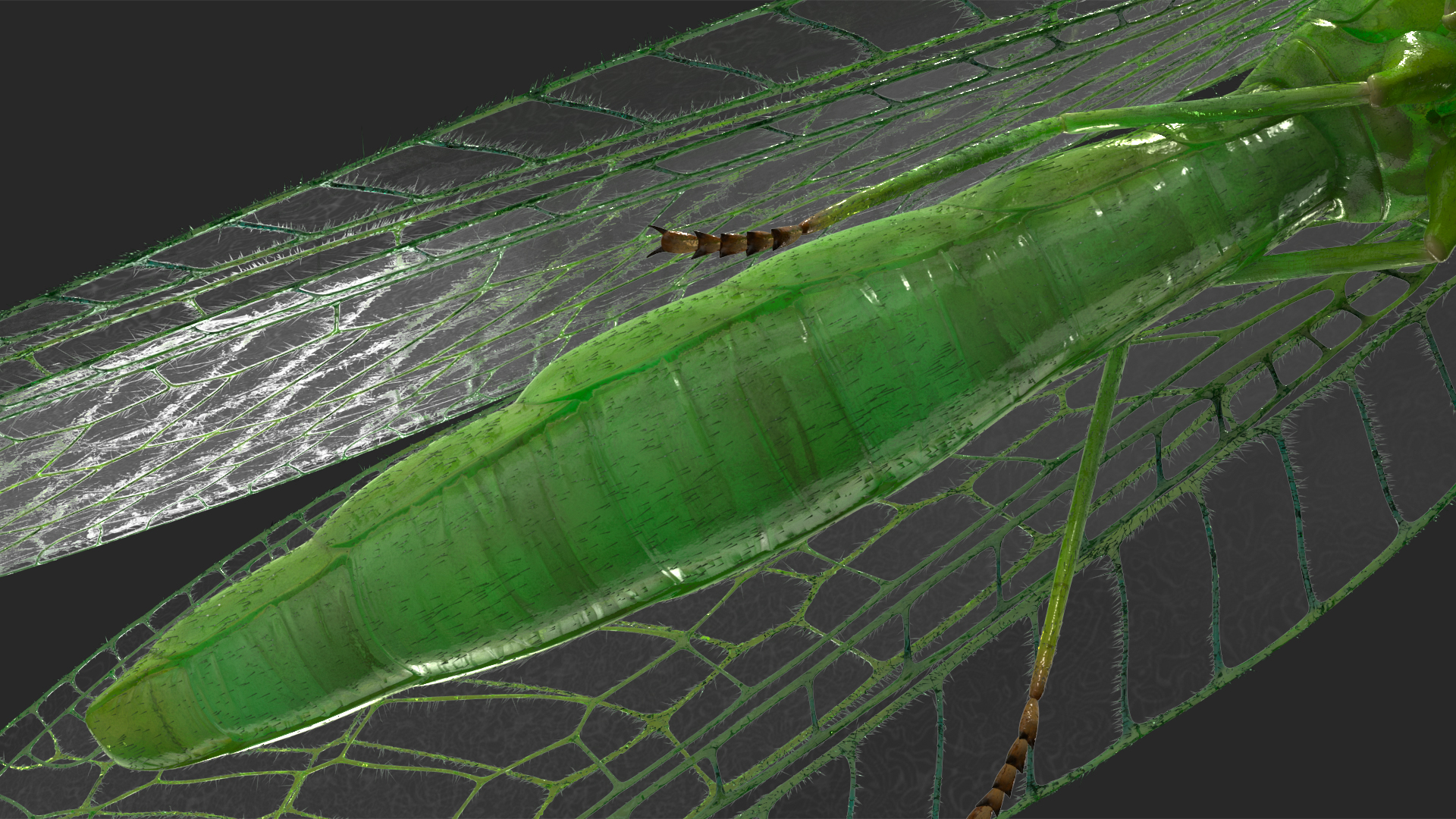 3D model Green Lacewing Fur Rigged
