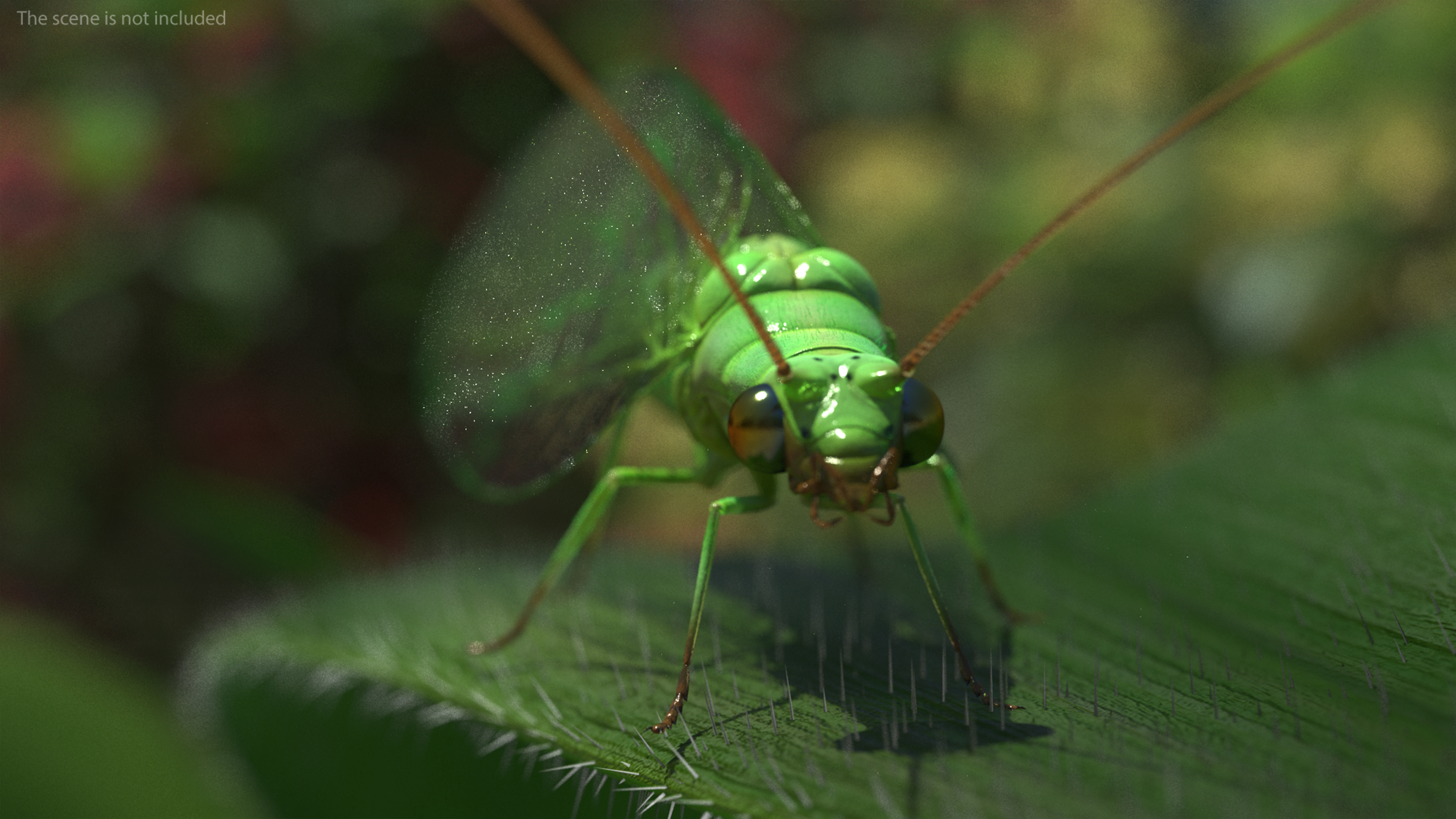 3D model Green Lacewing Fur Rigged