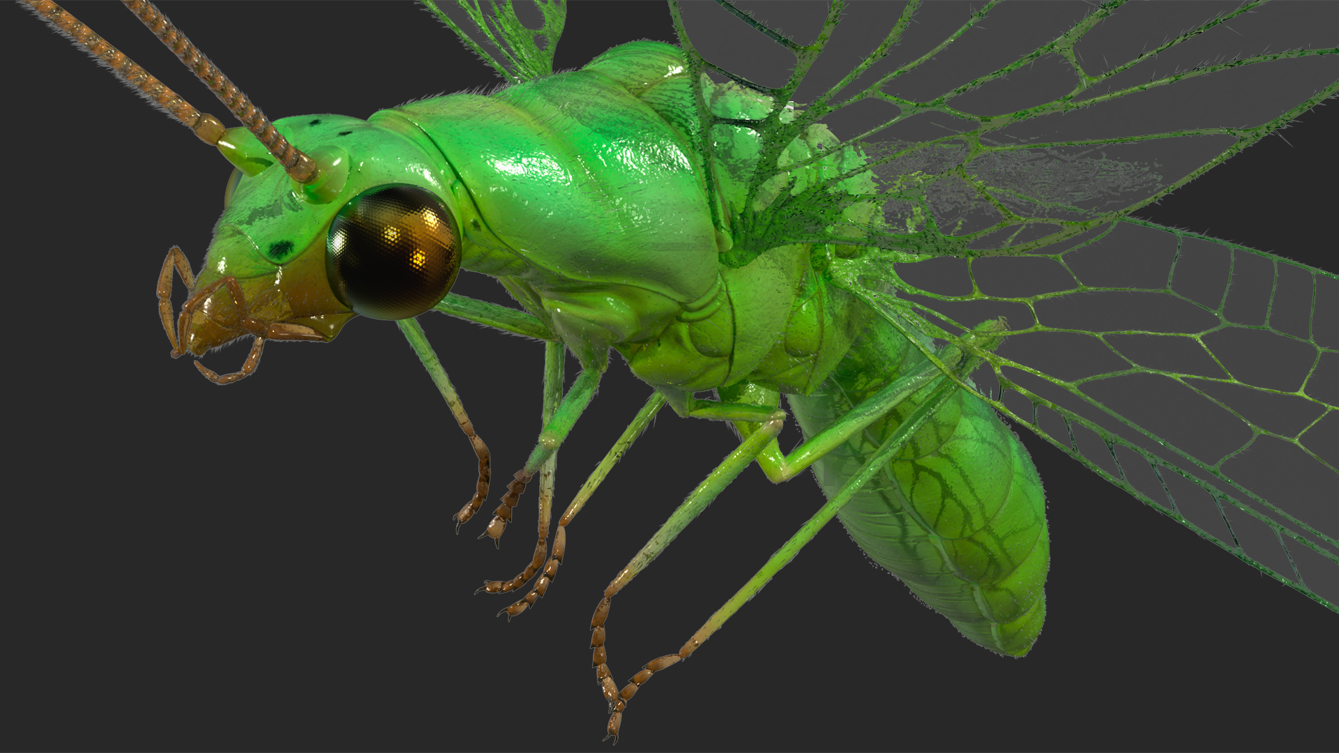 3D model Green Lacewing Fur Rigged