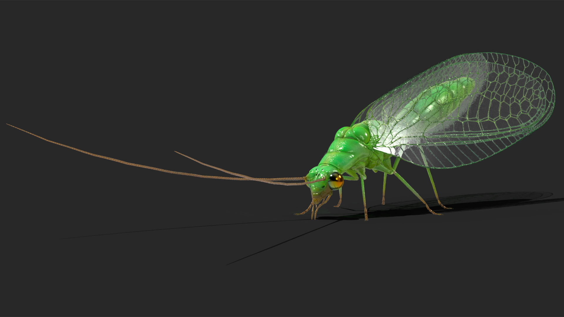 3D model Green Lacewing Fur Rigged