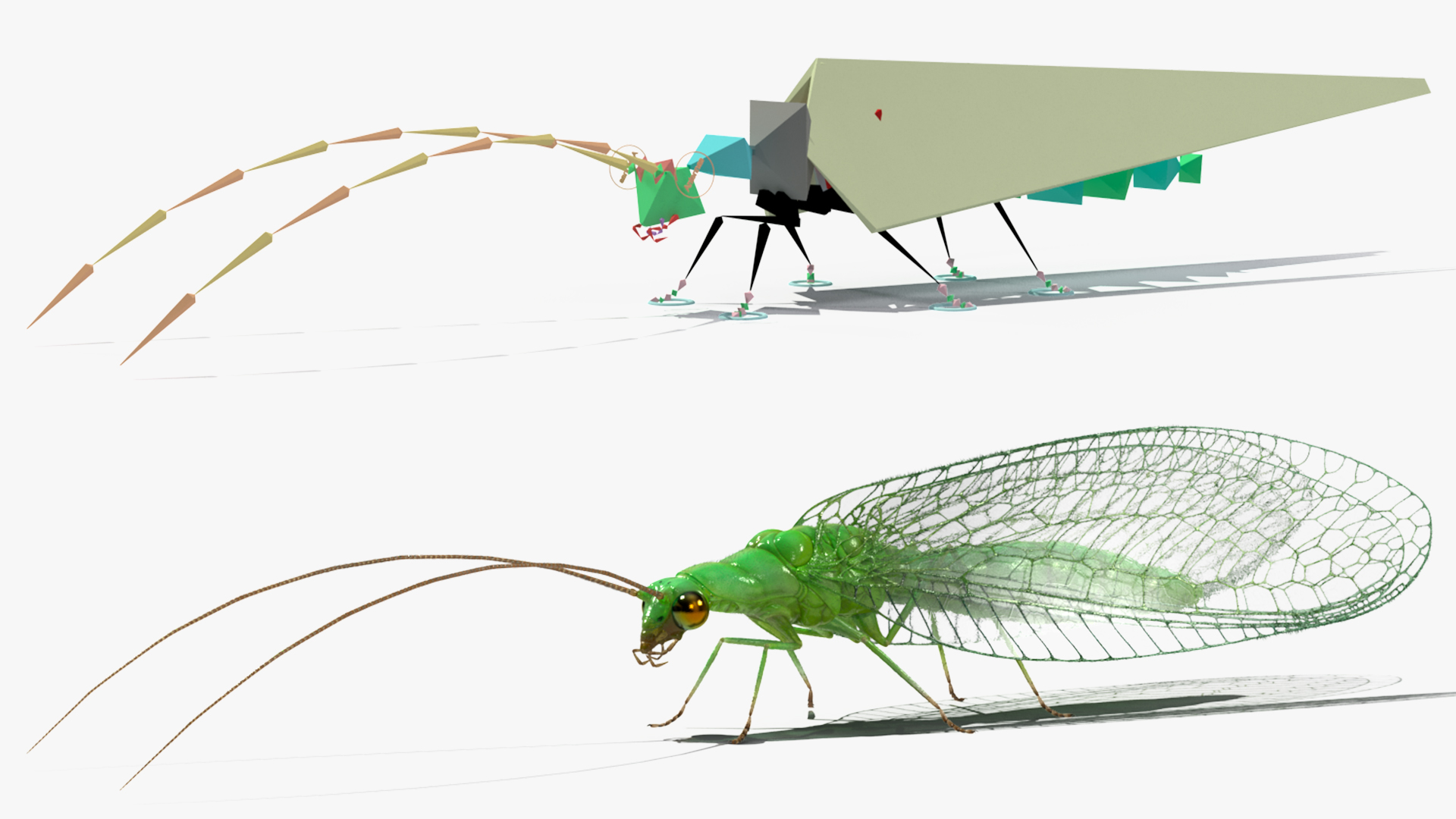 3D model Green Lacewing Fur Rigged