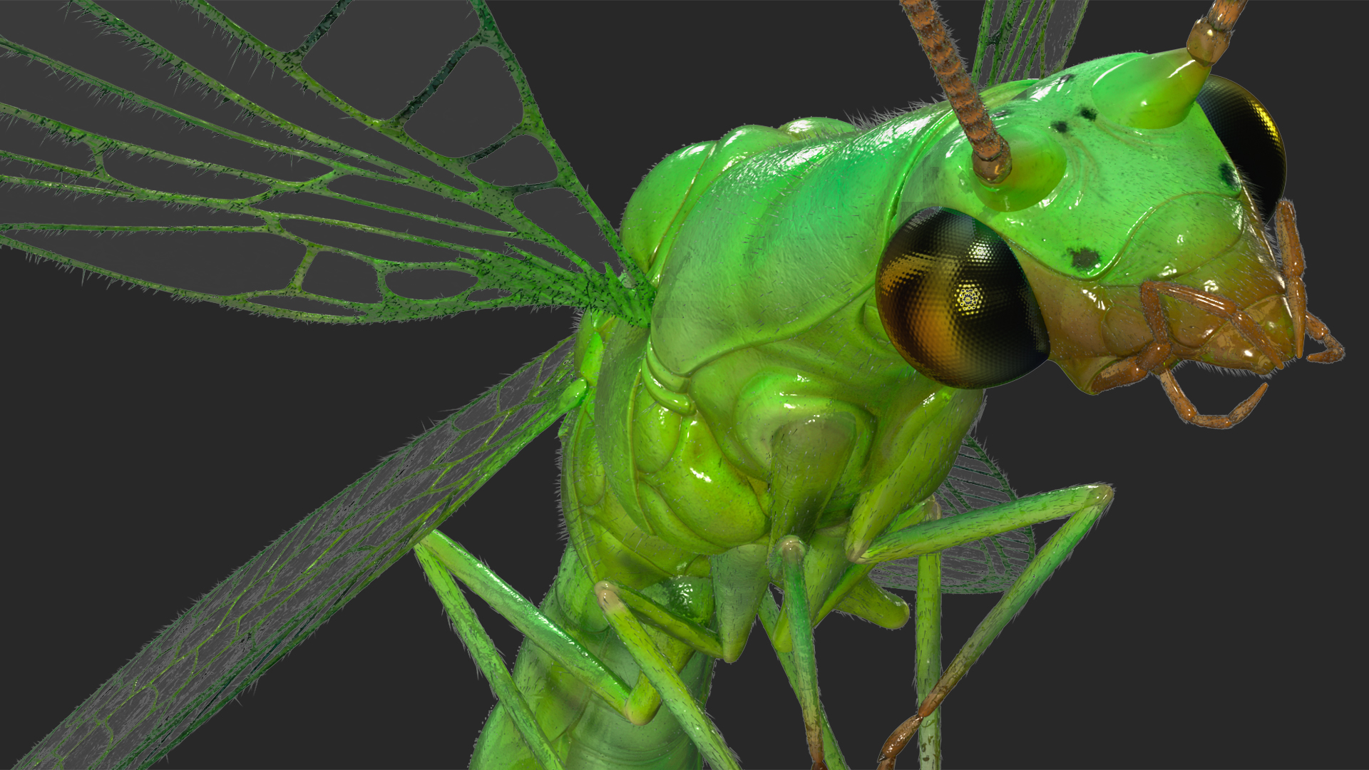 3D model Green Lacewing Fur Rigged