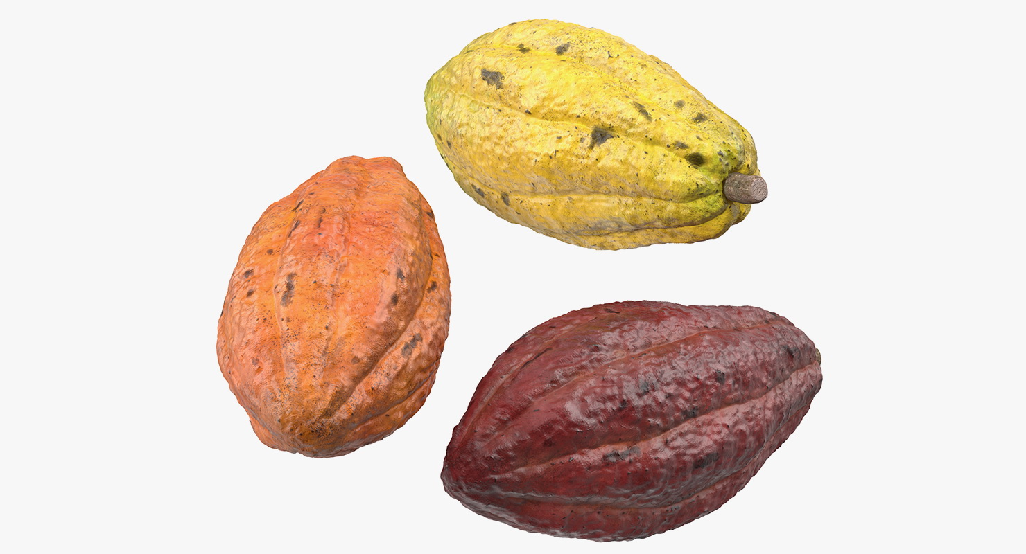 3D model Cocoa Fruit Set