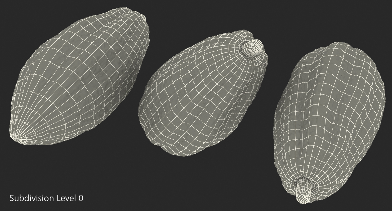 3D model Cocoa Fruit Set