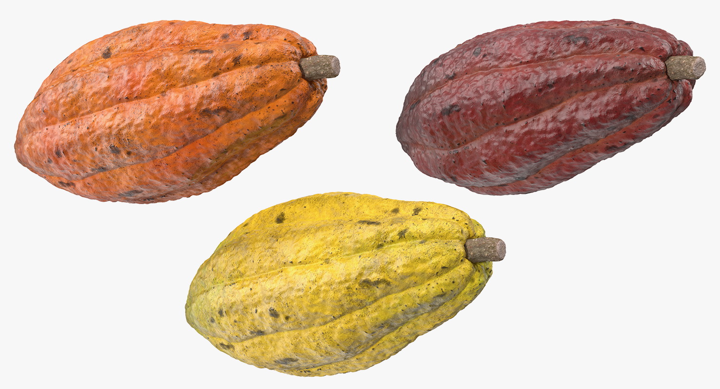 3D model Cocoa Fruit Set