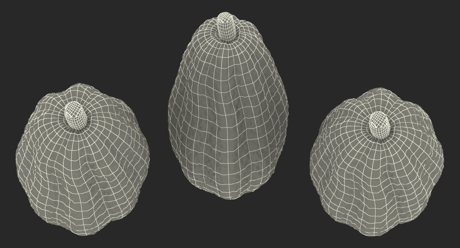 3D model Cocoa Fruit Set