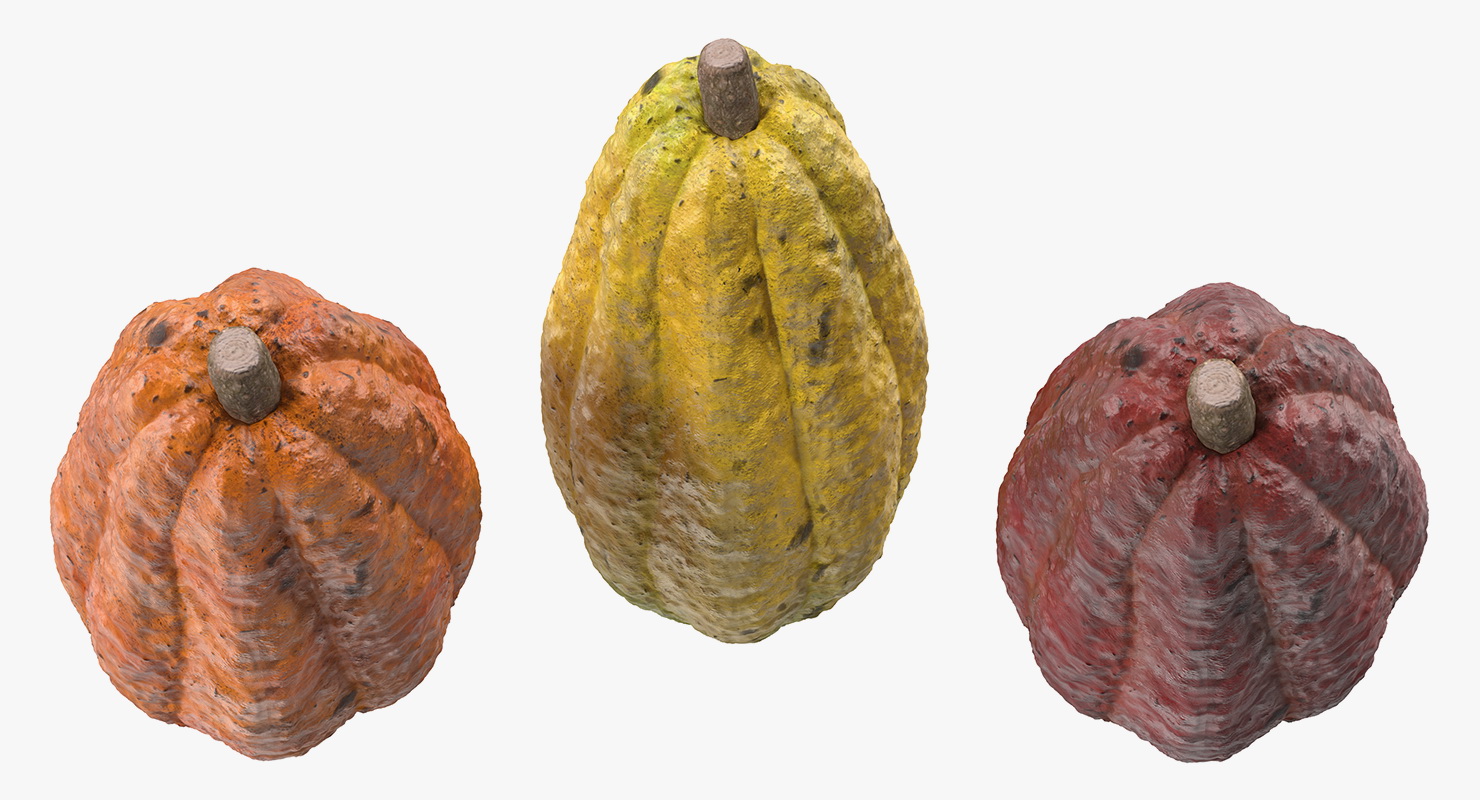 3D model Cocoa Fruit Set