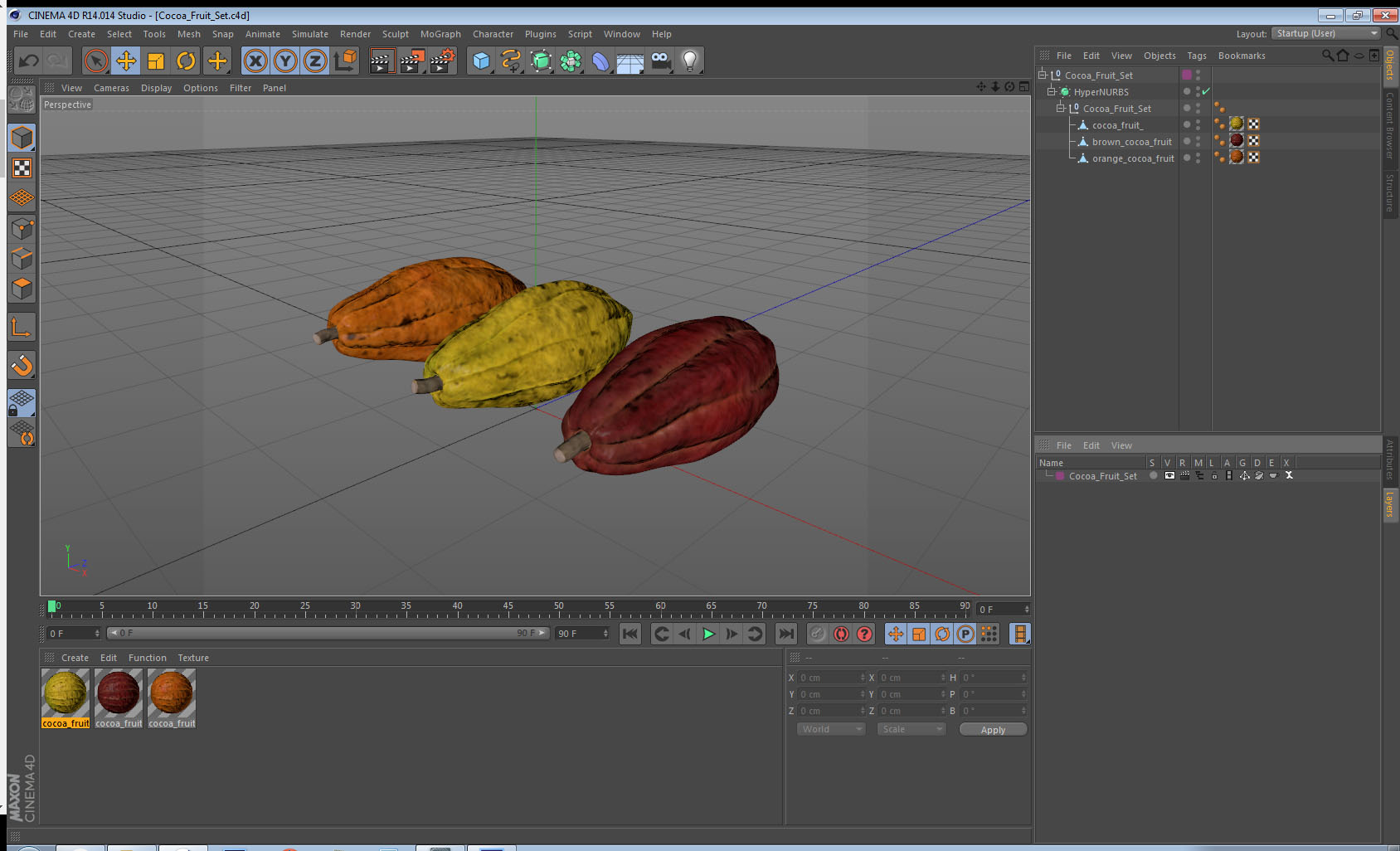 3D model Cocoa Fruit Set