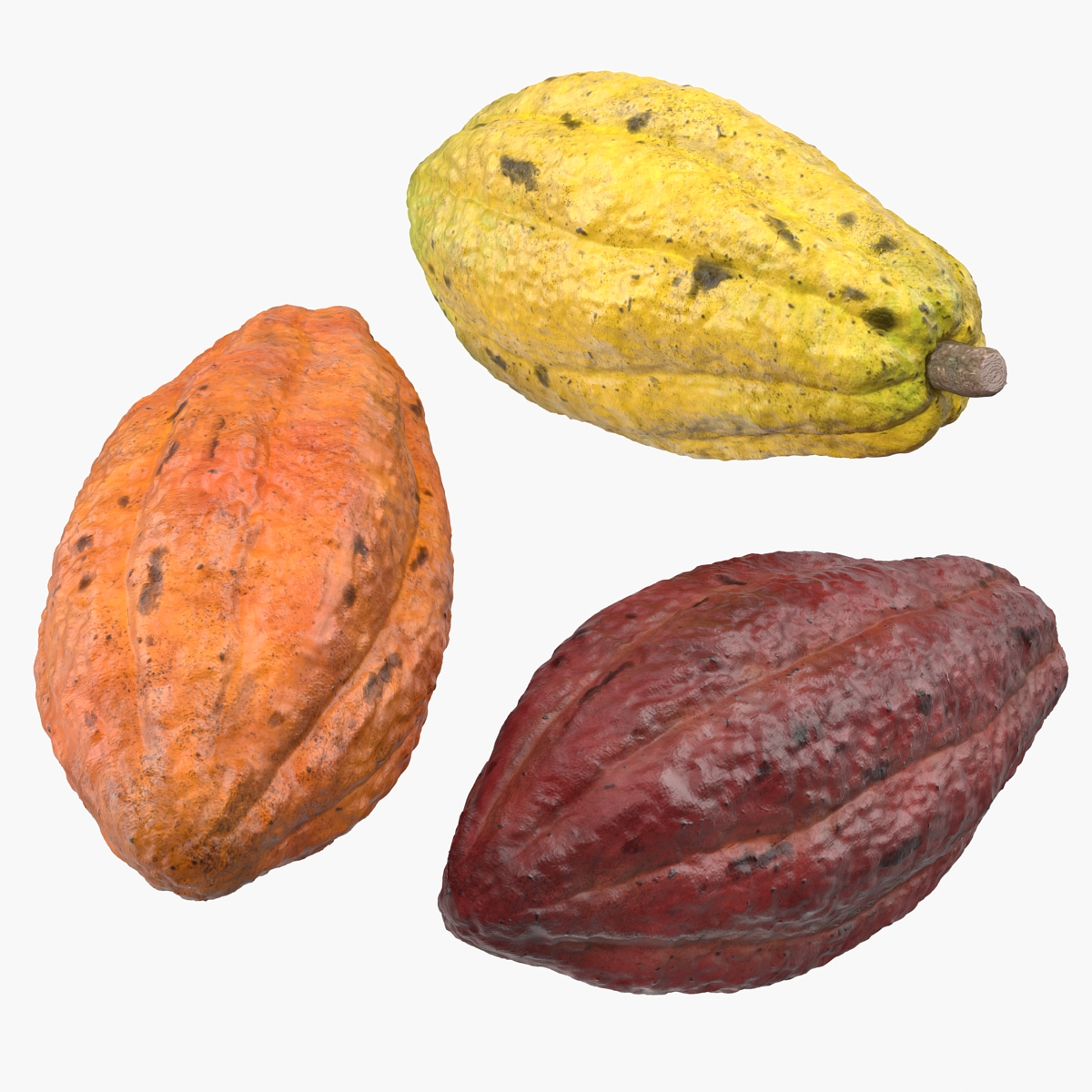 Cocoa Fruits Set
