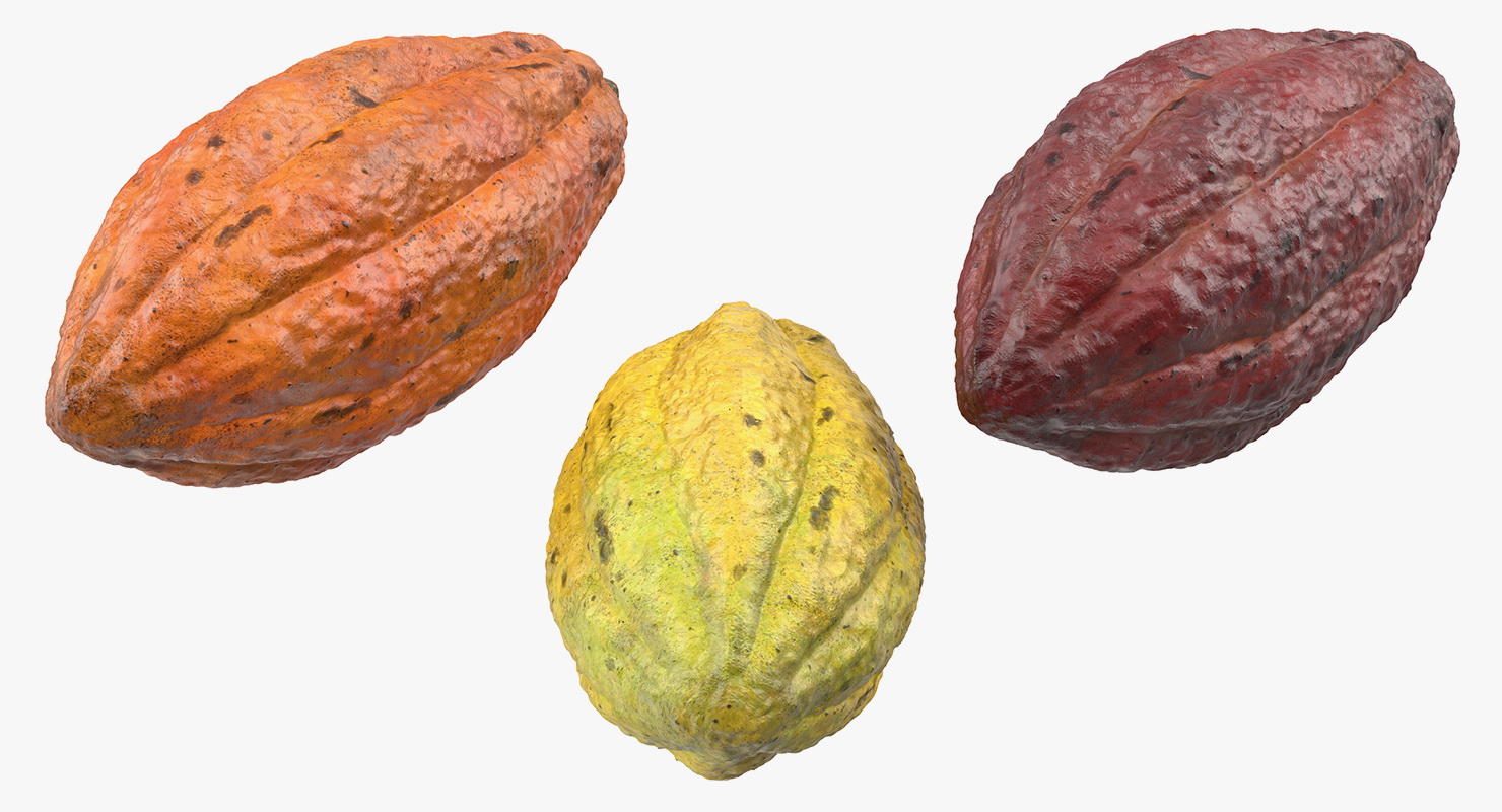 3D model Cocoa Fruit Set