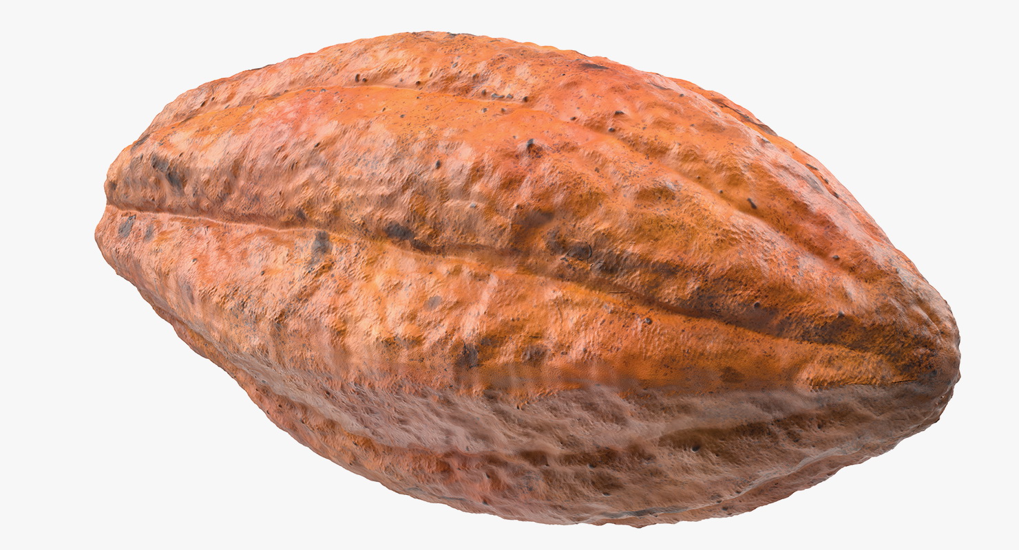 3D model Cocoa Fruit Set