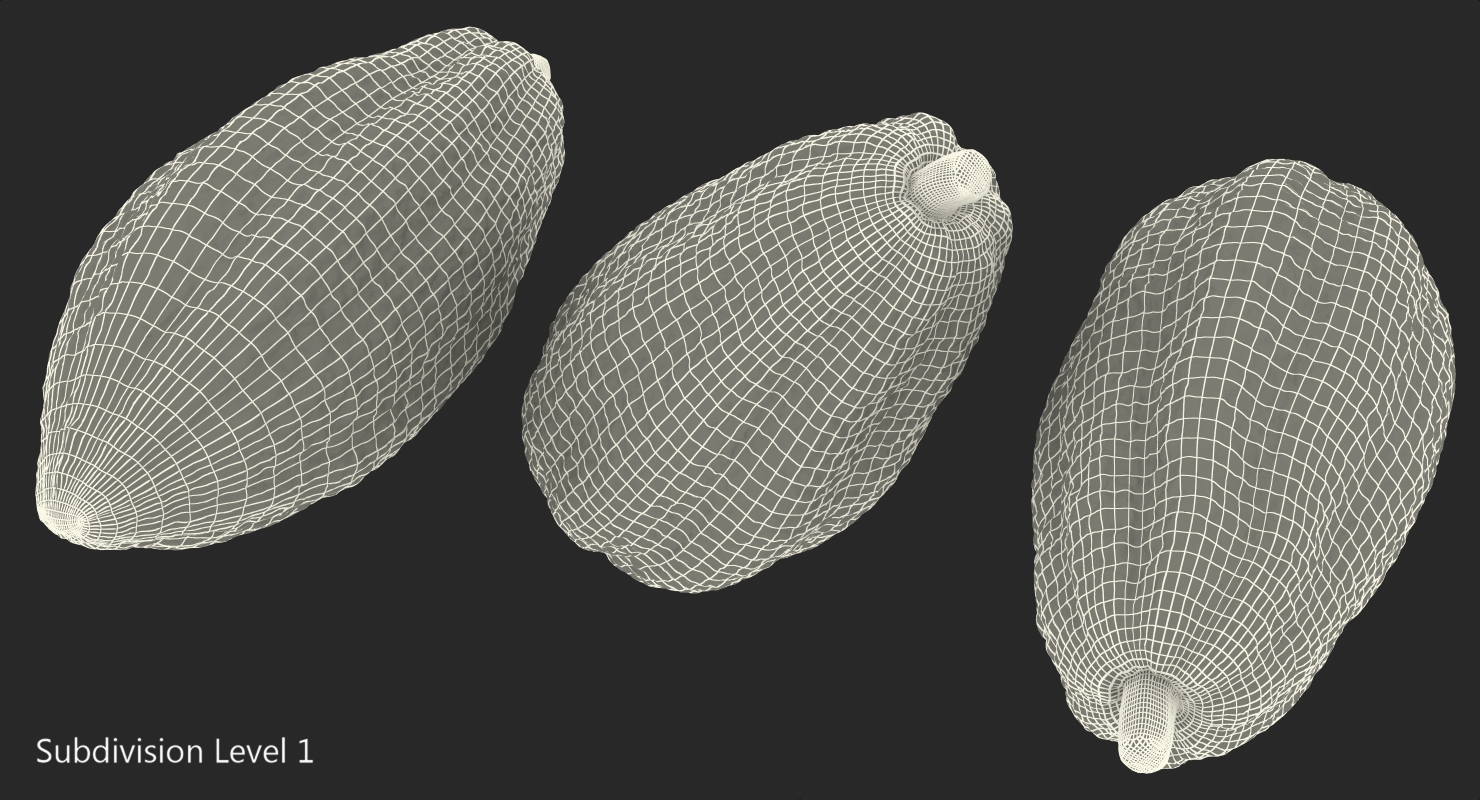 3D model Cocoa Fruit Set
