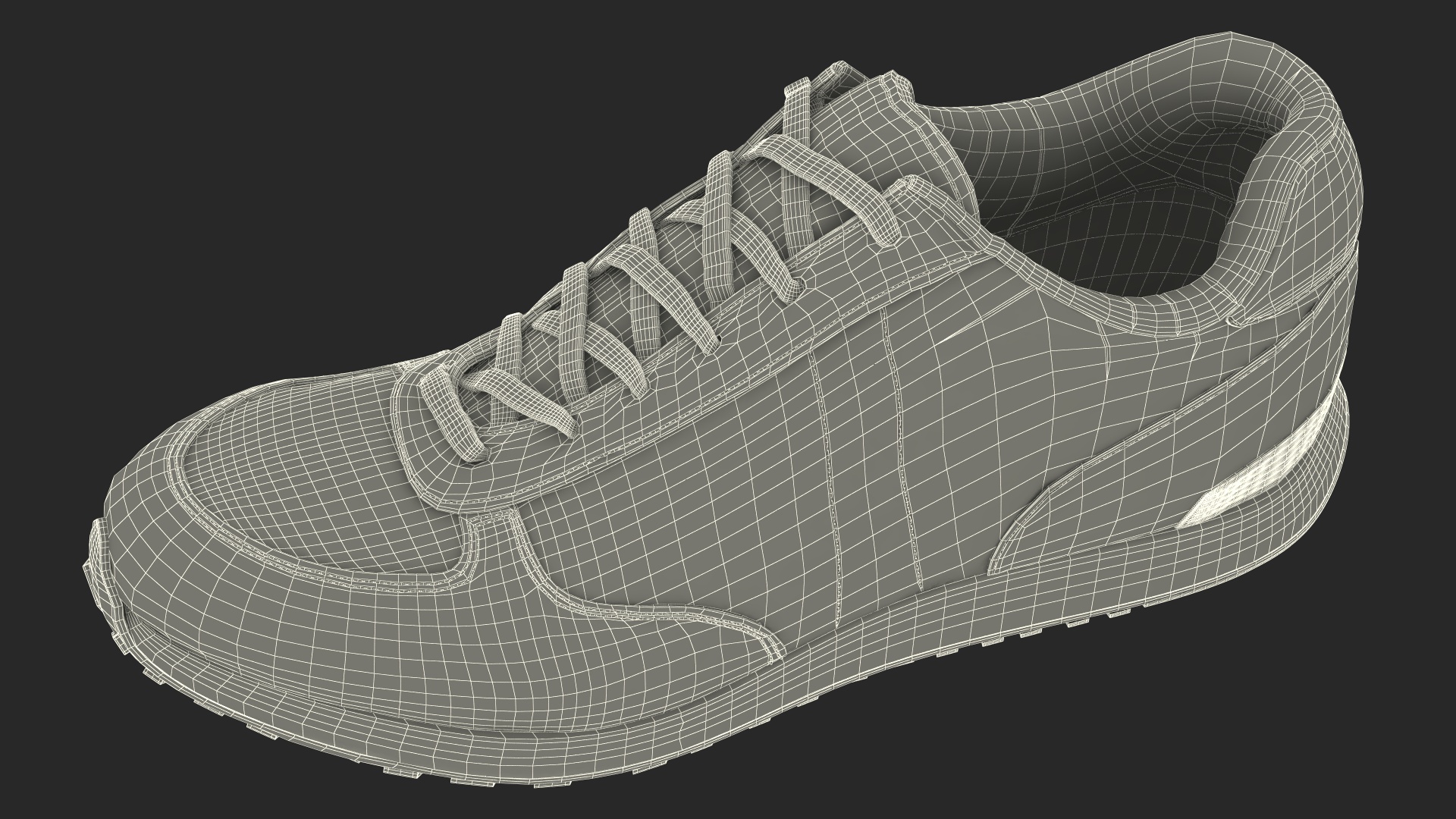 3D model Classic Running Shoes Fur