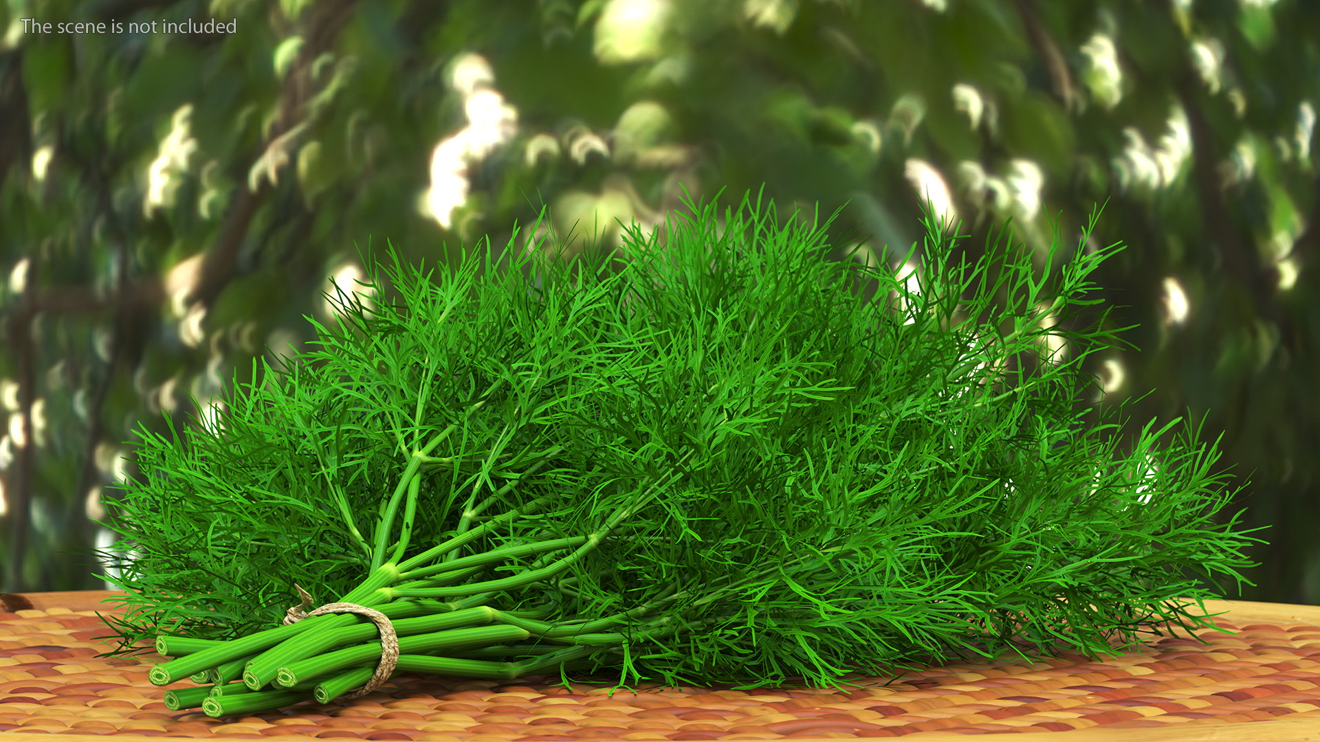 3D model Dill Bunch With Rope